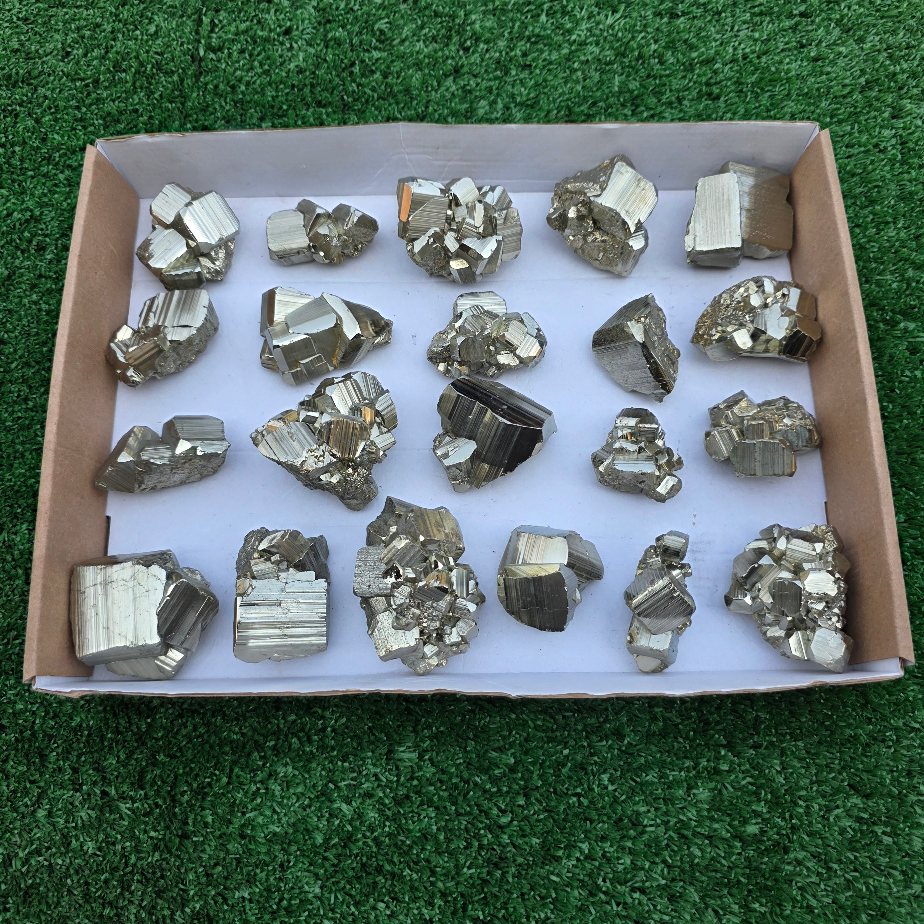 Lot 21 pcs Pyrite Coco Rough