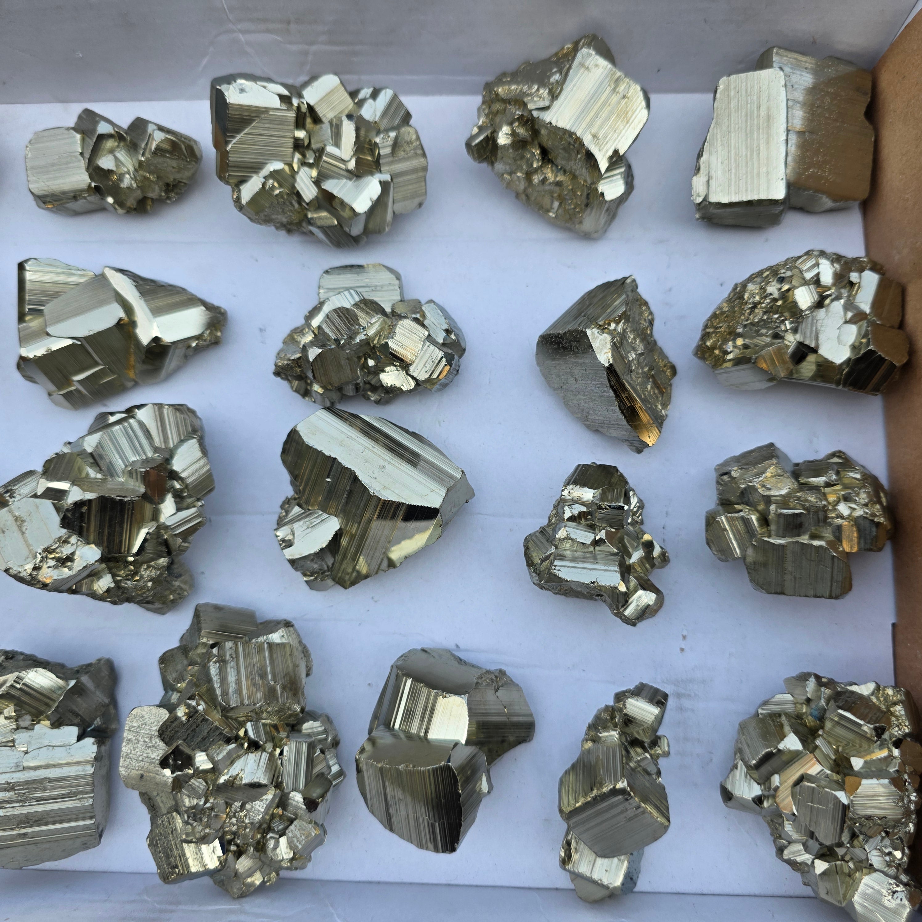 Lot 21 pcs Pyrite Coco Rough