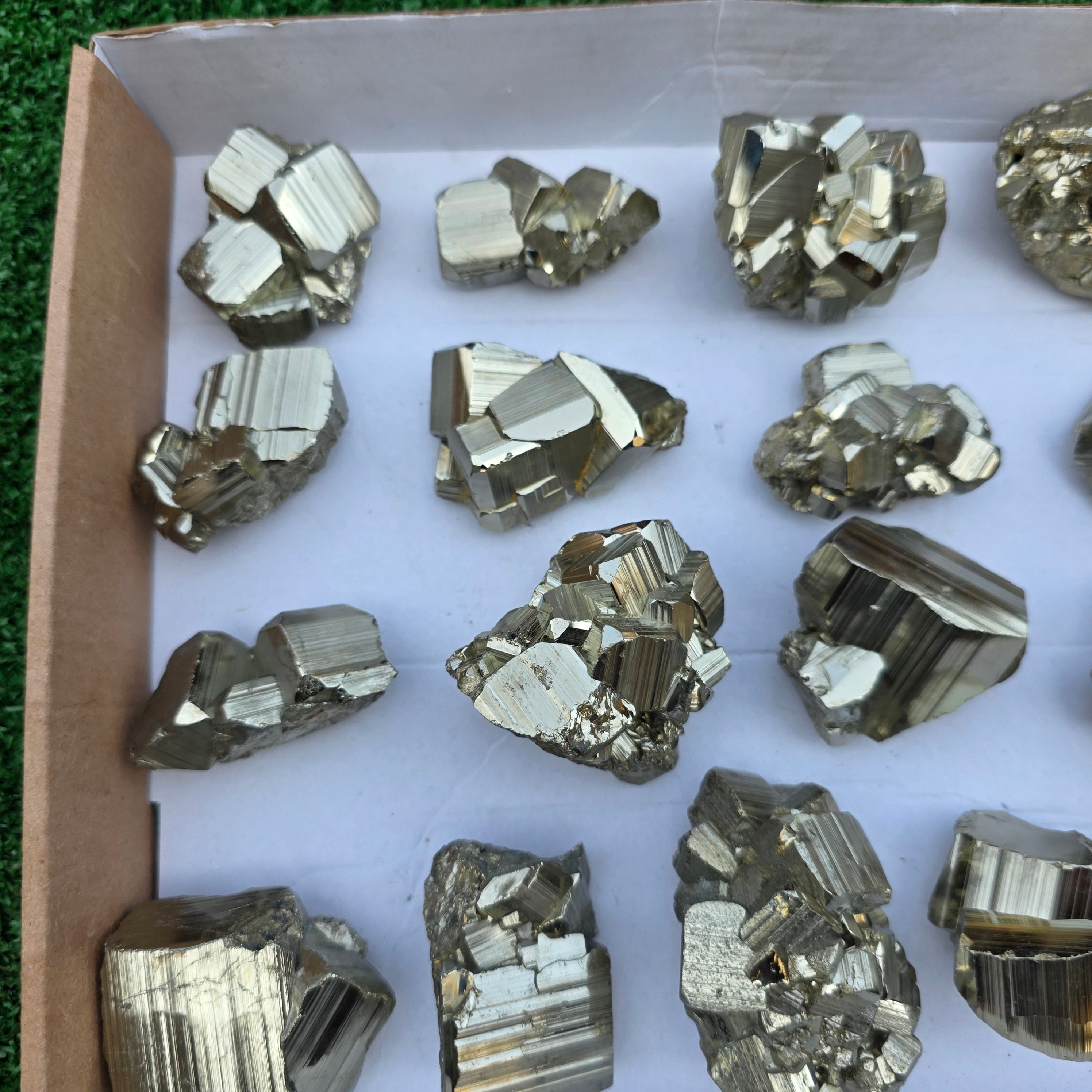 Lot 21 pcs Pyrite Coco Rough
