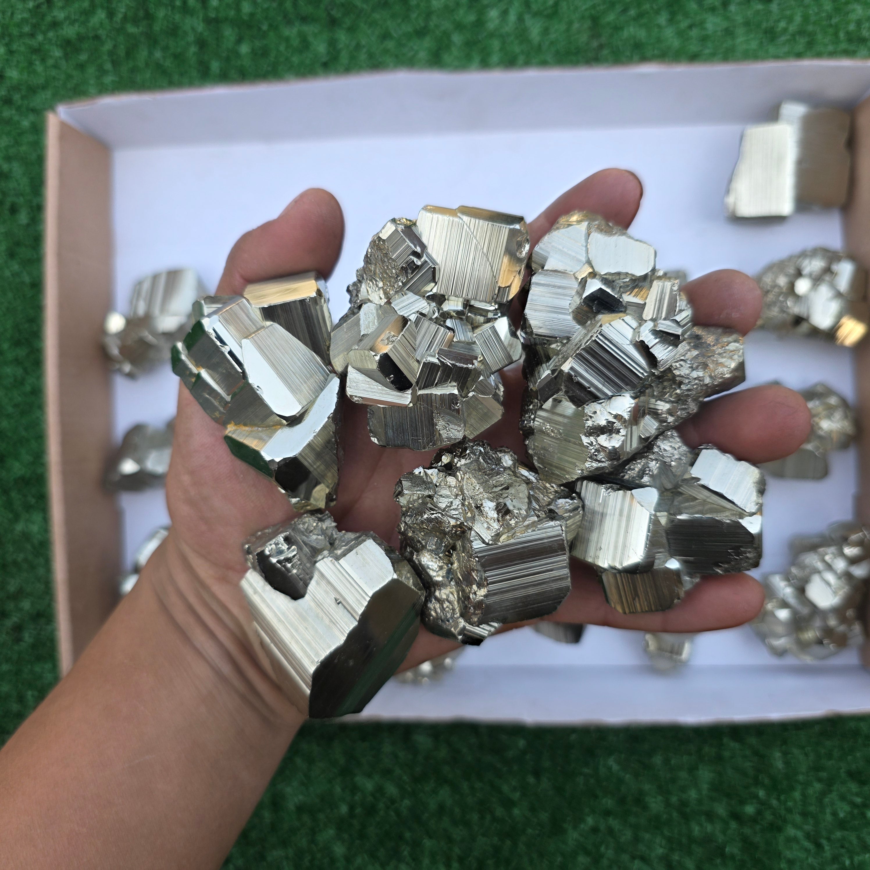 Lot 21 pcs Pyrite Coco Rough