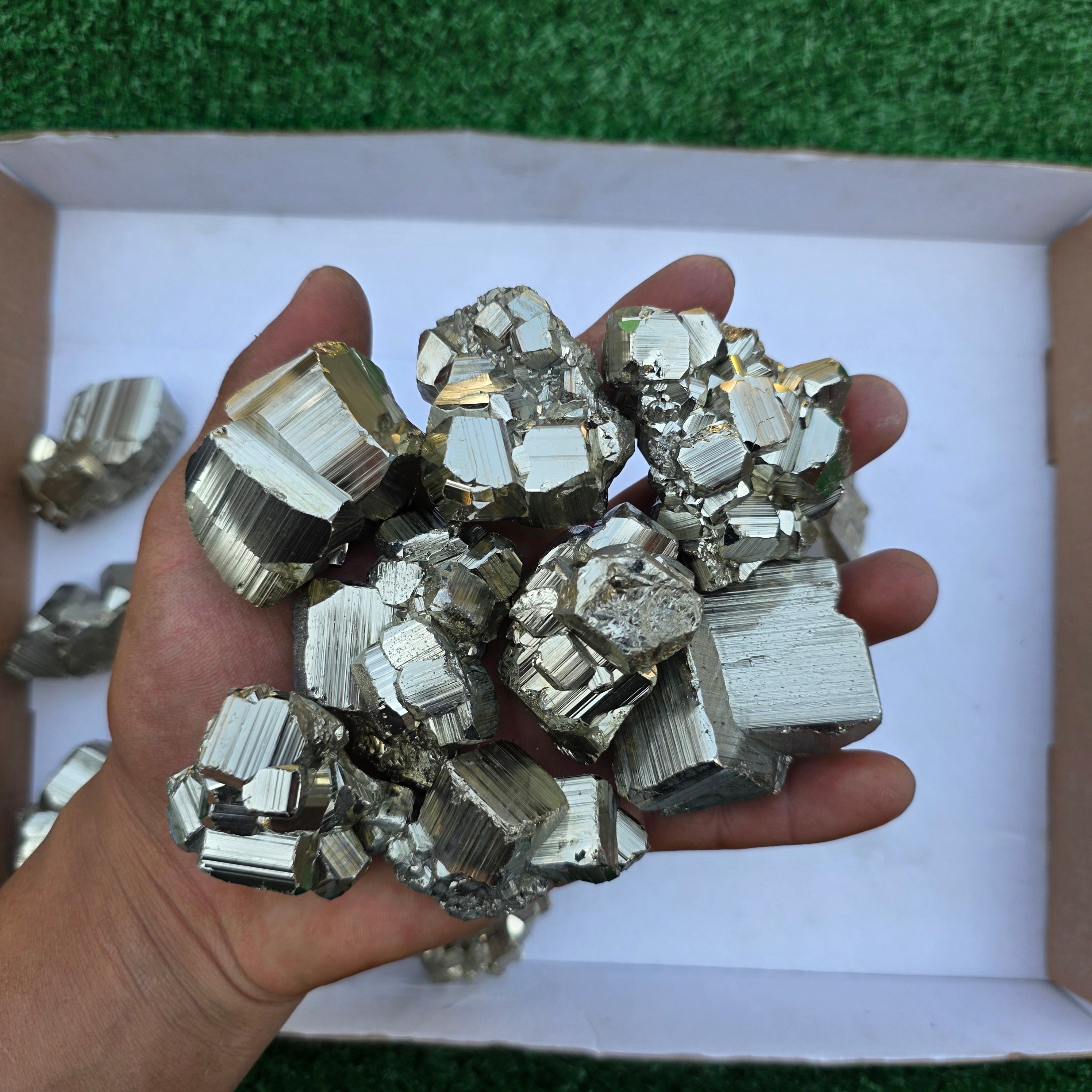 Lot 21 pcs Pyrite Coco Rough
