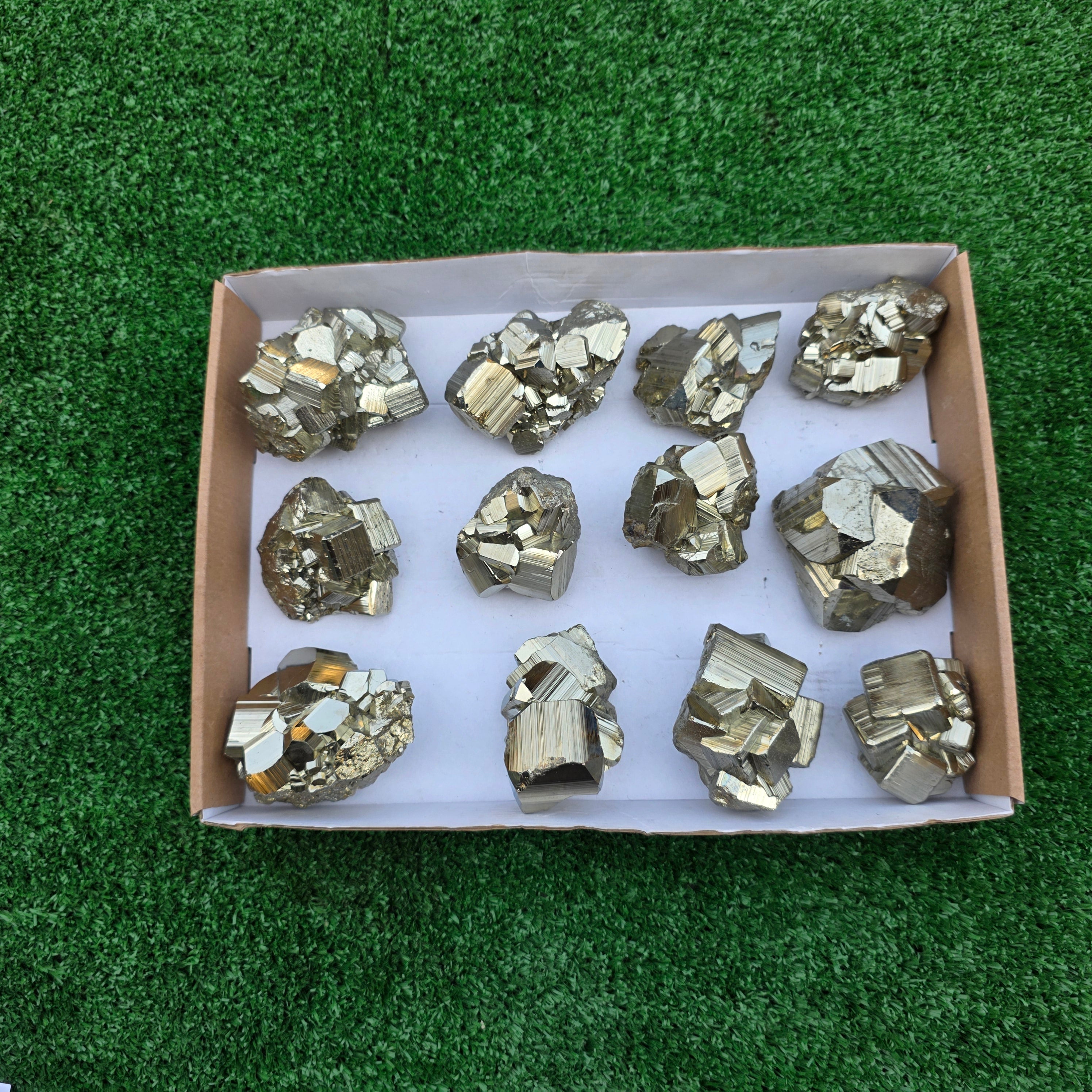 Lot 12 pcs Pyrite Coco Rough