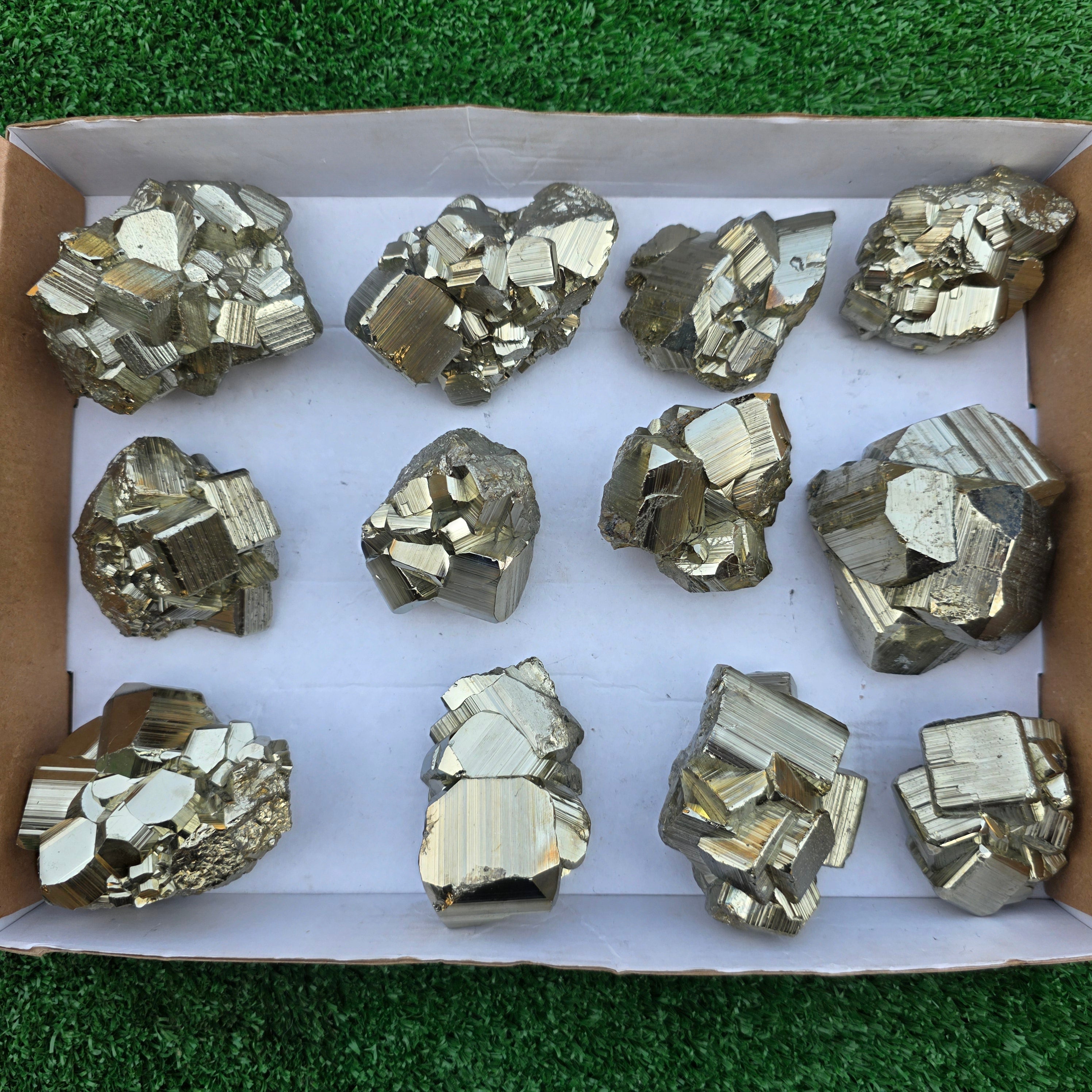 Lot 12 pcs Pyrite Coco Rough