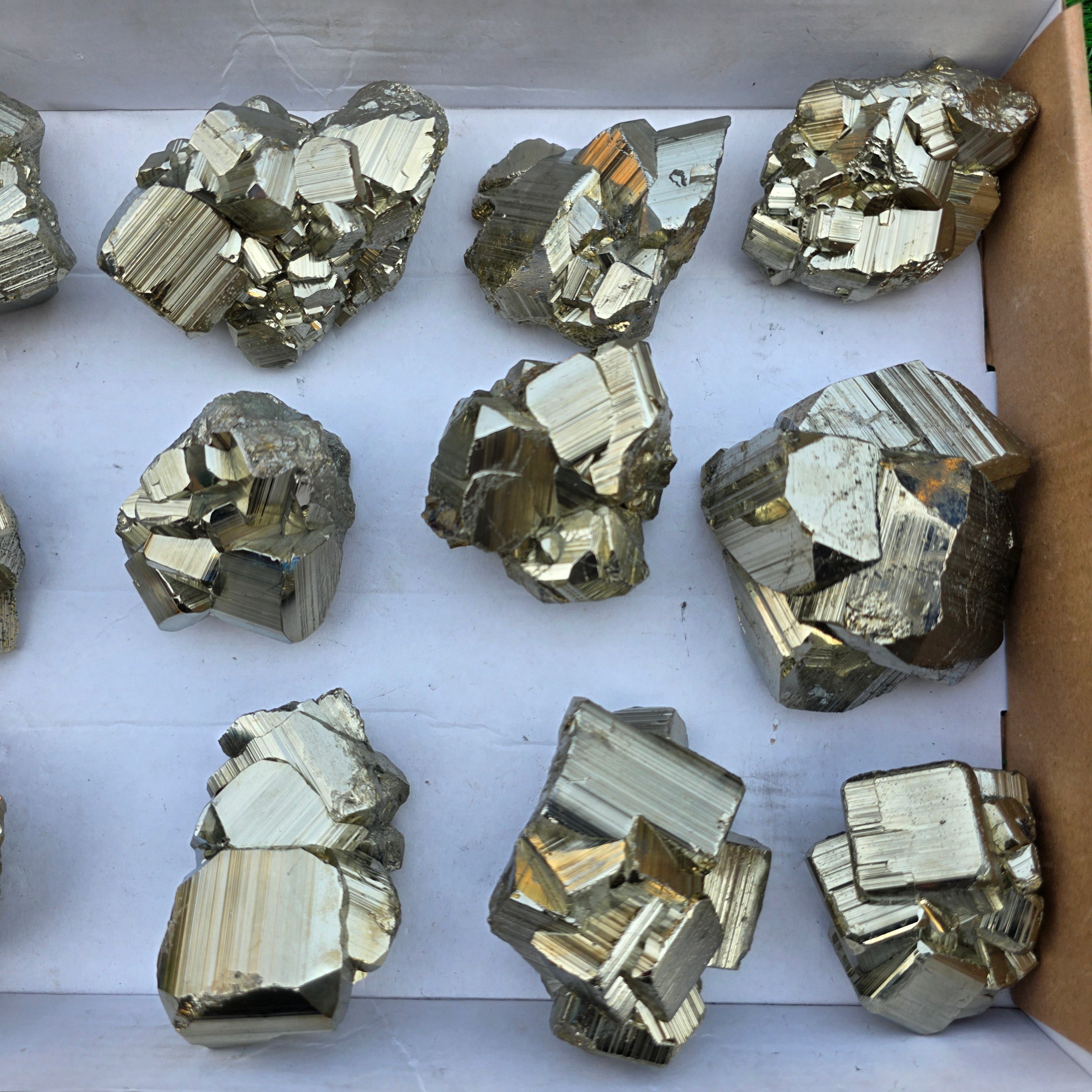 Lot 12 pcs Pyrite Coco Rough