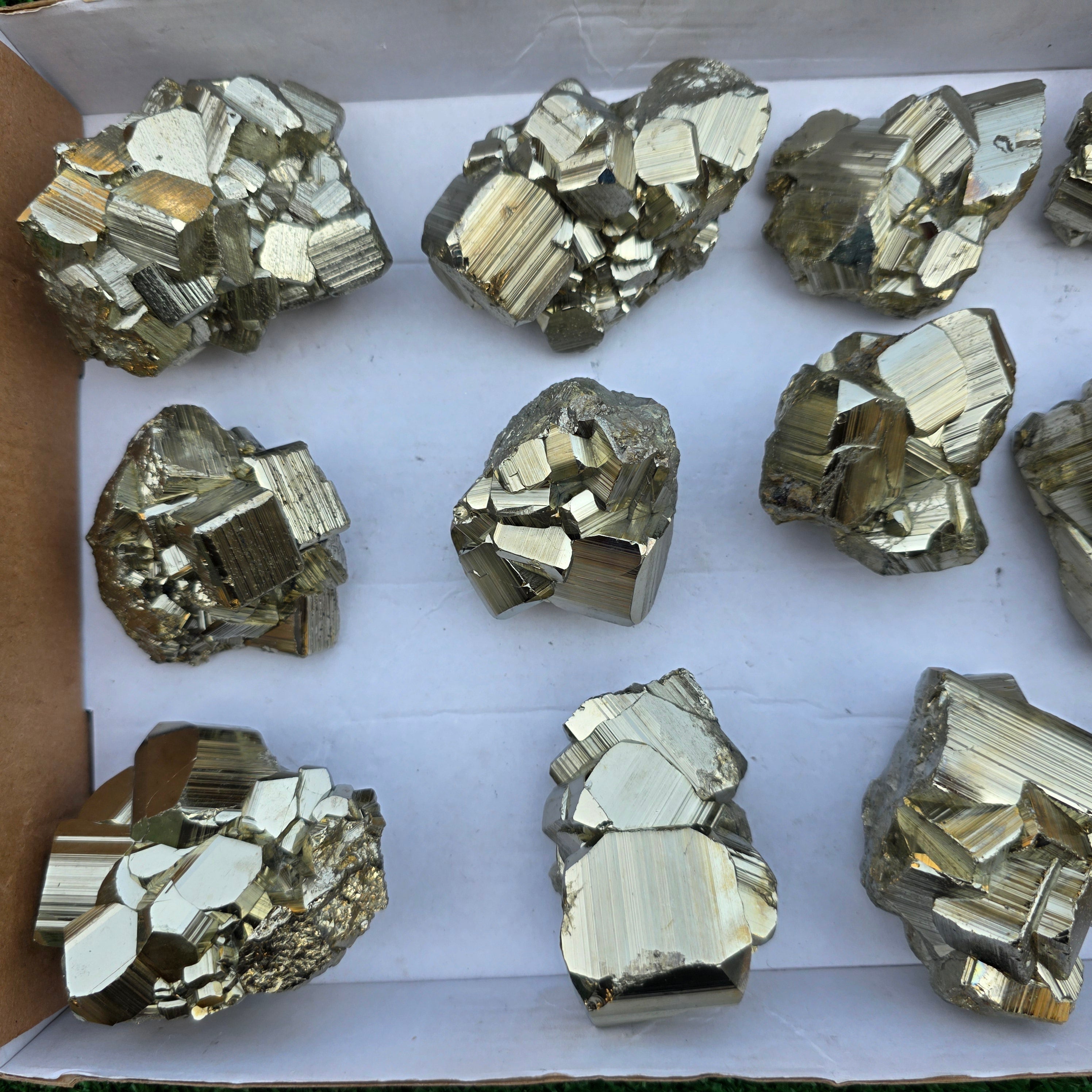 Lot 12 pcs Pyrite Coco Rough