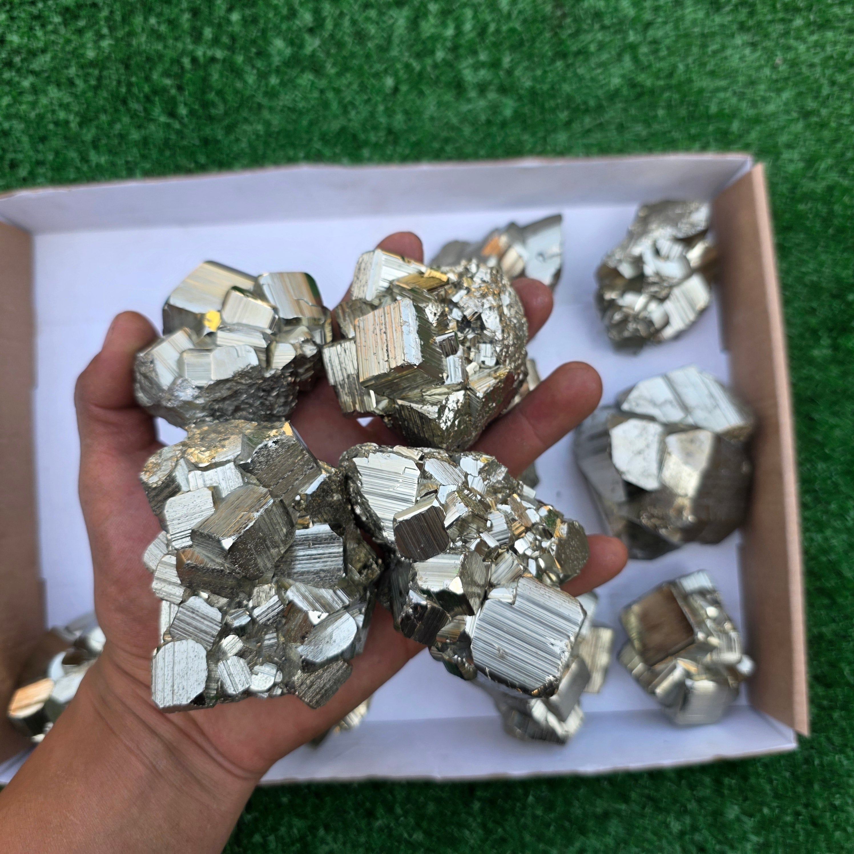 Lot 12 pcs Pyrite Coco Rough