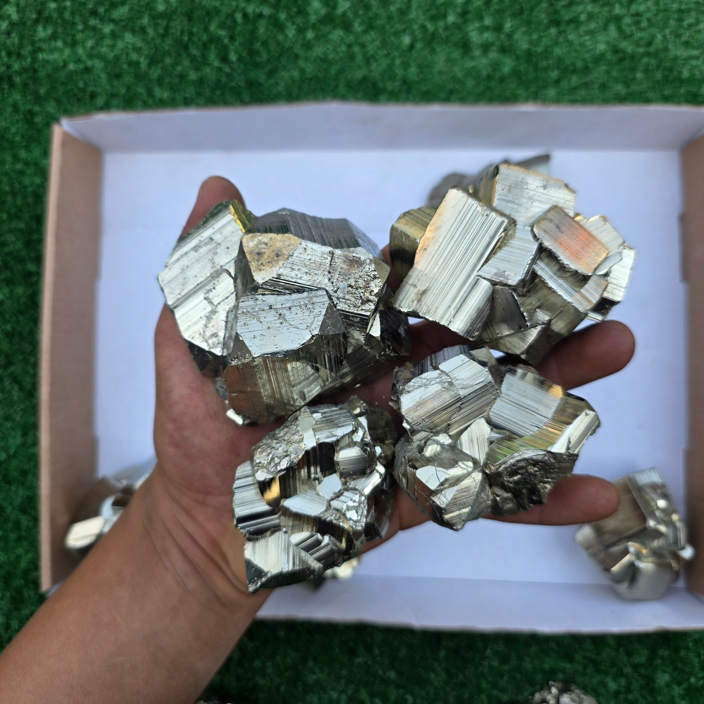 Lot 12 pcs Pyrite Coco Rough