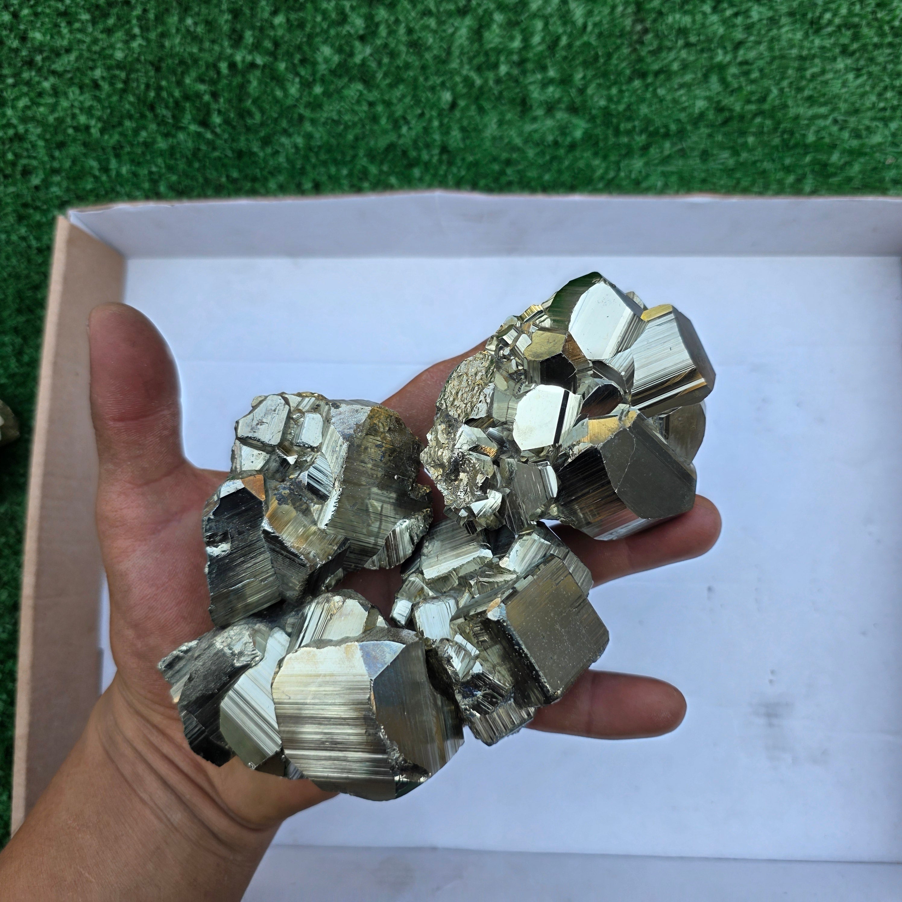 Lot 12 pcs Pyrite Coco Rough