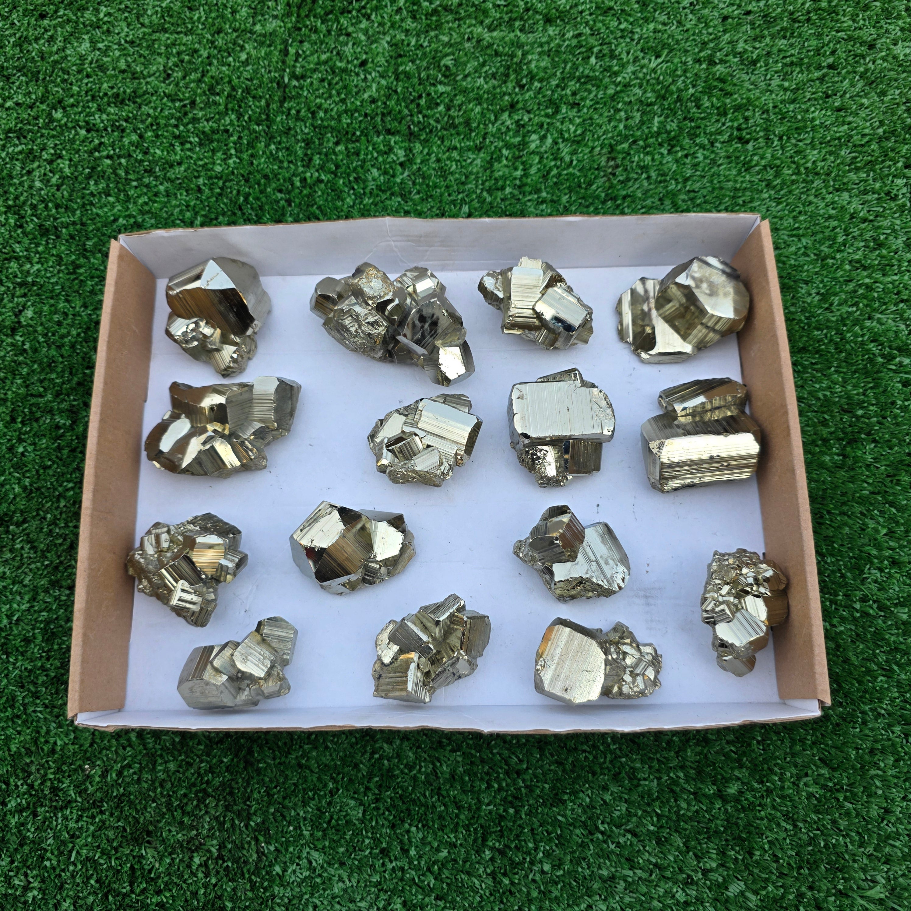 Lot 15 pcs Pyrite Coco Rough