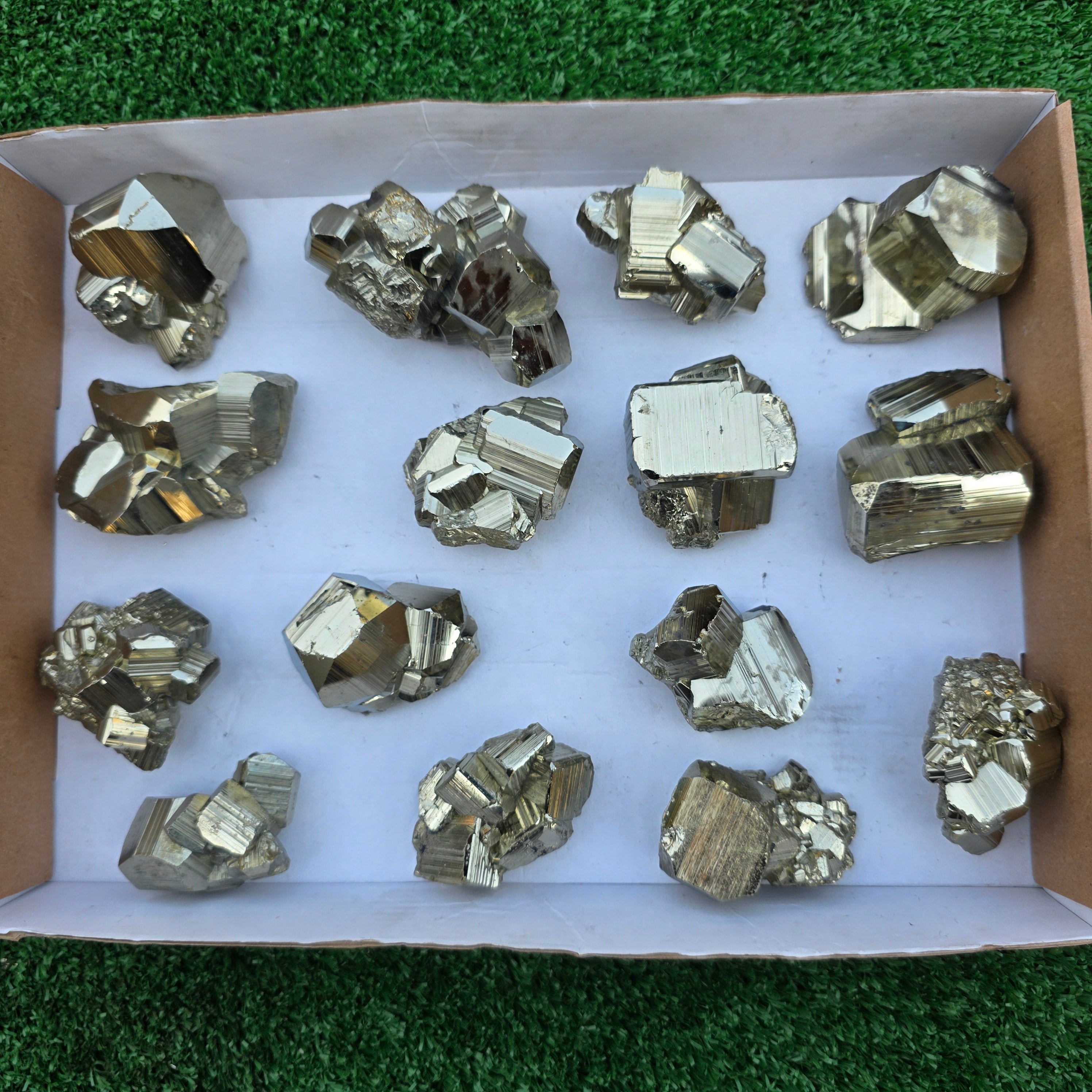 Lot 15 pcs Pyrite Coco Rough