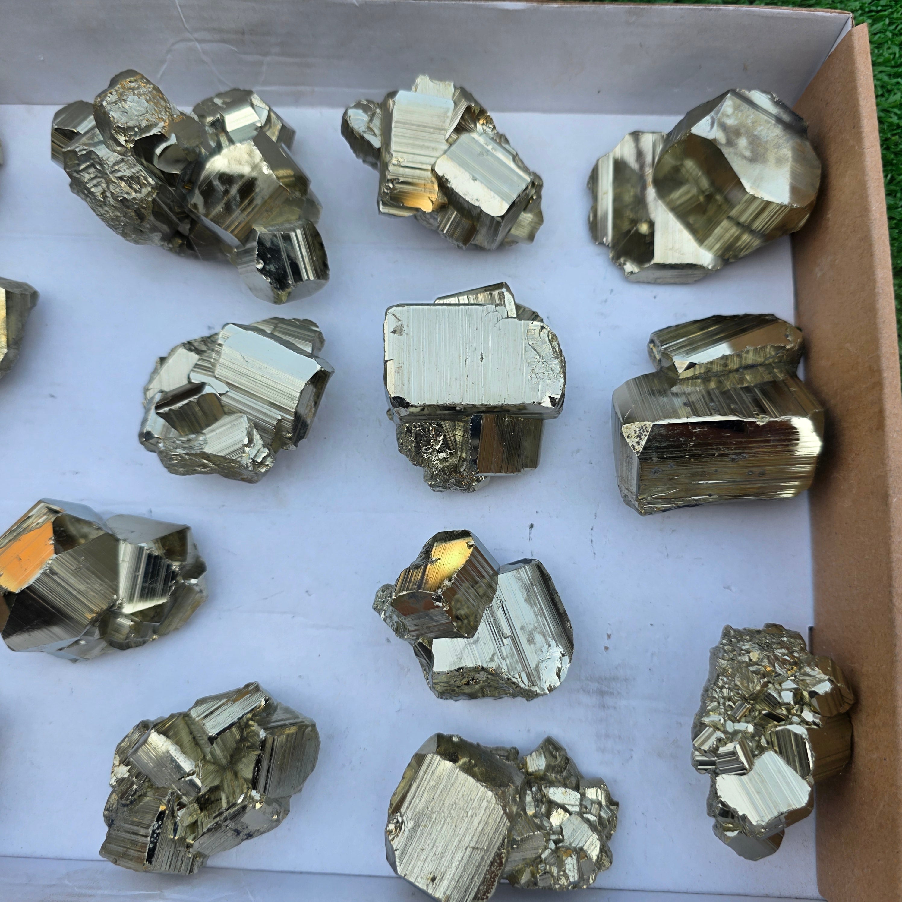 Lot 15 pcs Pyrite Coco Rough