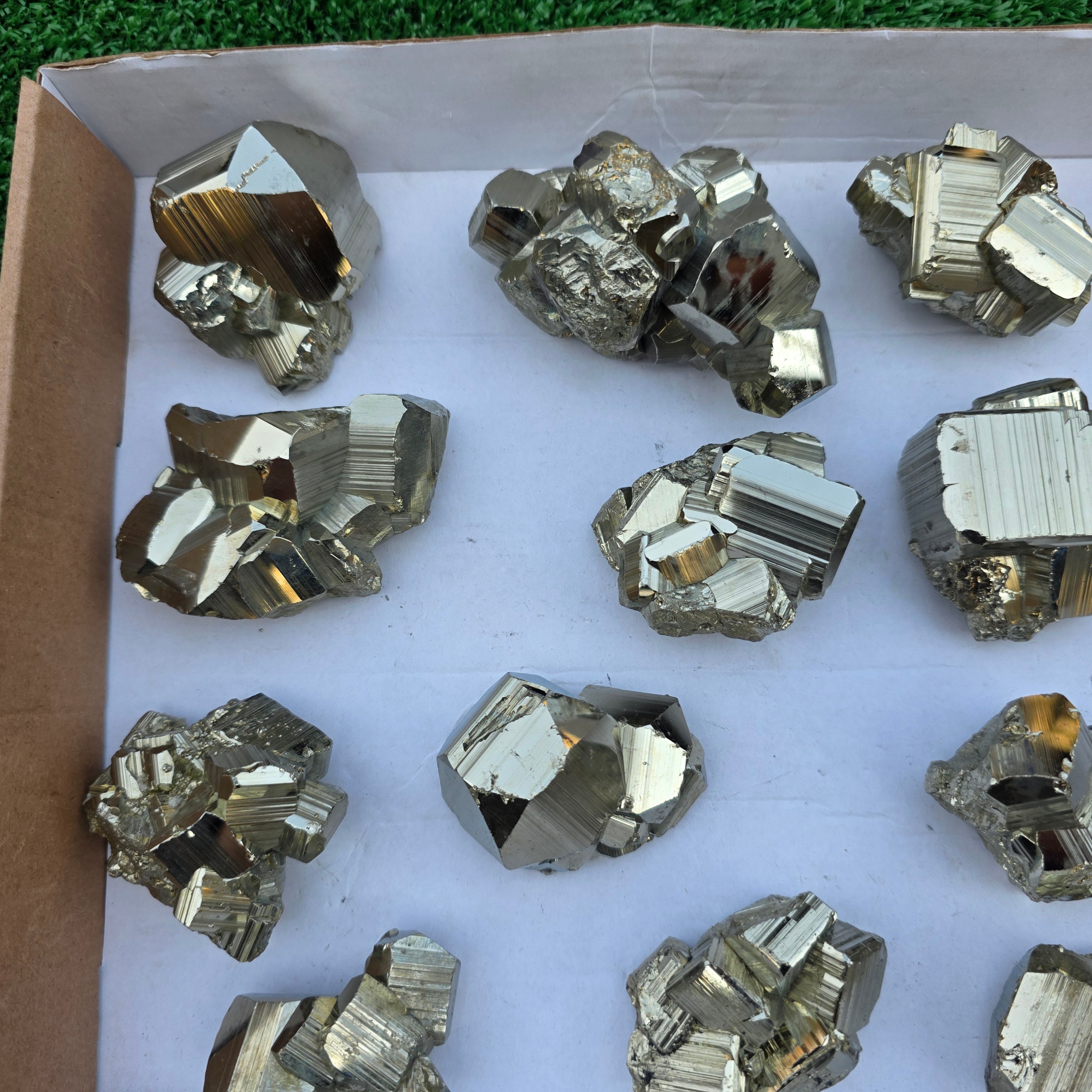 Lot 15 pcs Pyrite Coco Rough