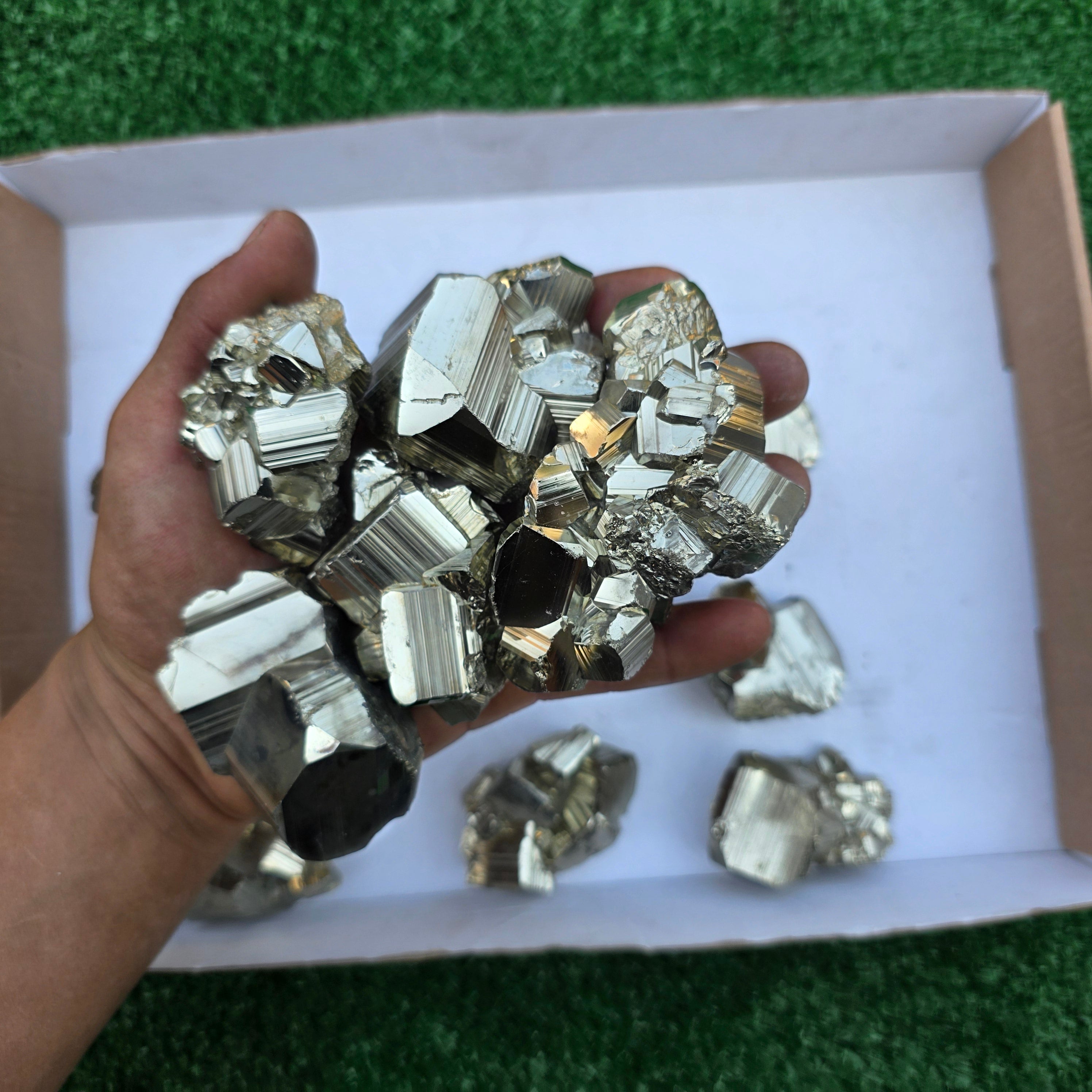 Lot 15 pcs Pyrite Coco Rough