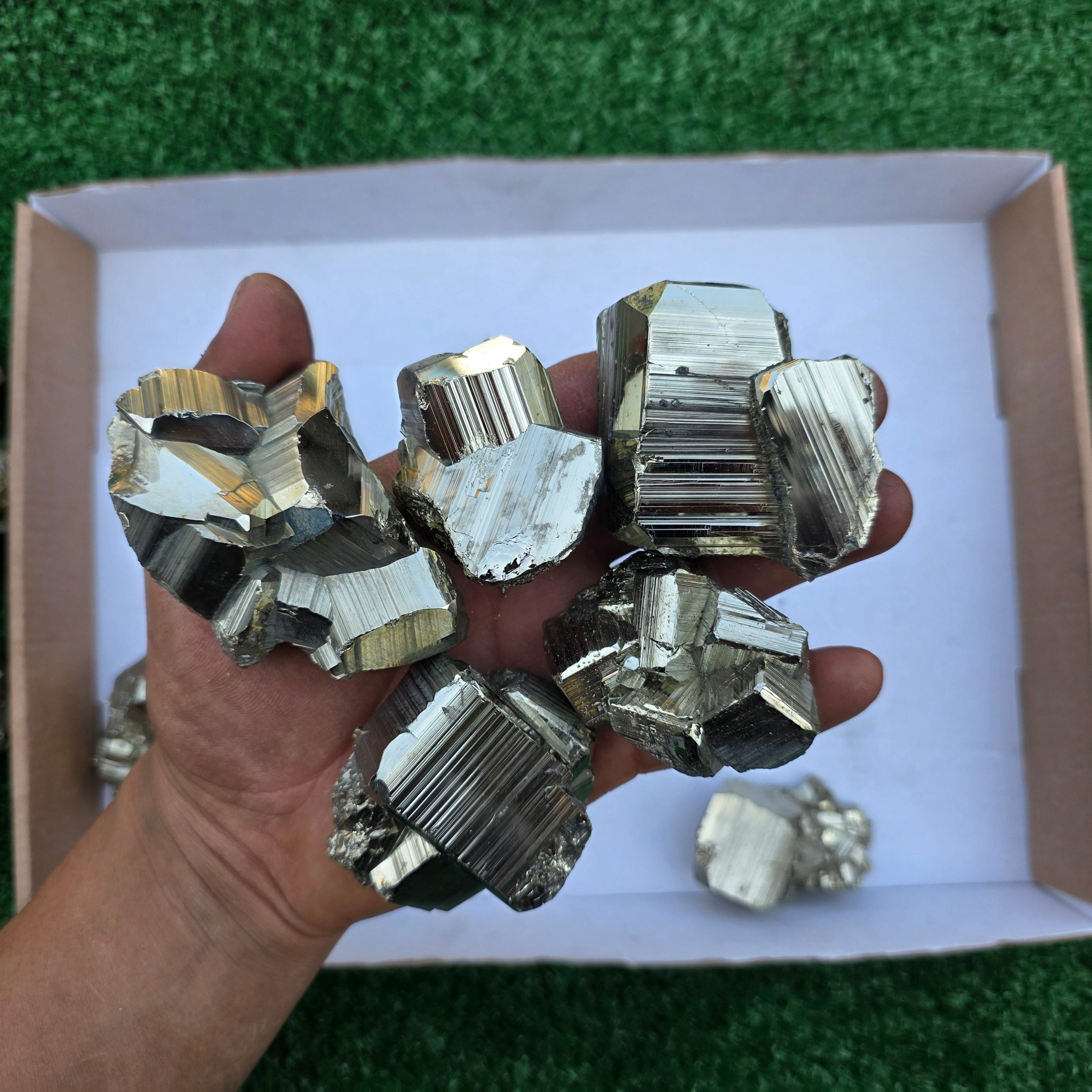 Lot 15 pcs Pyrite Coco Rough