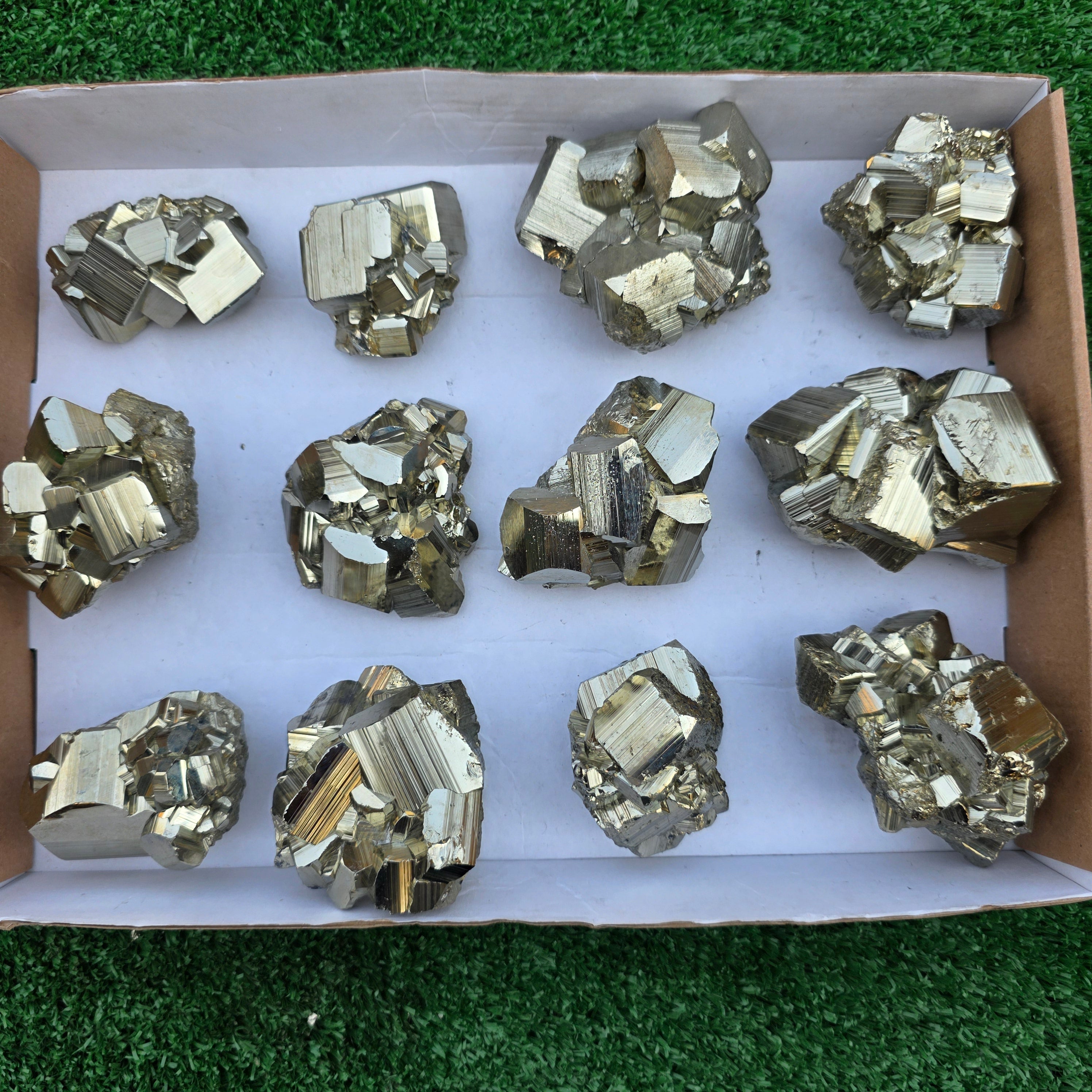 Lot 12 pcs Pyrite Coco Rough