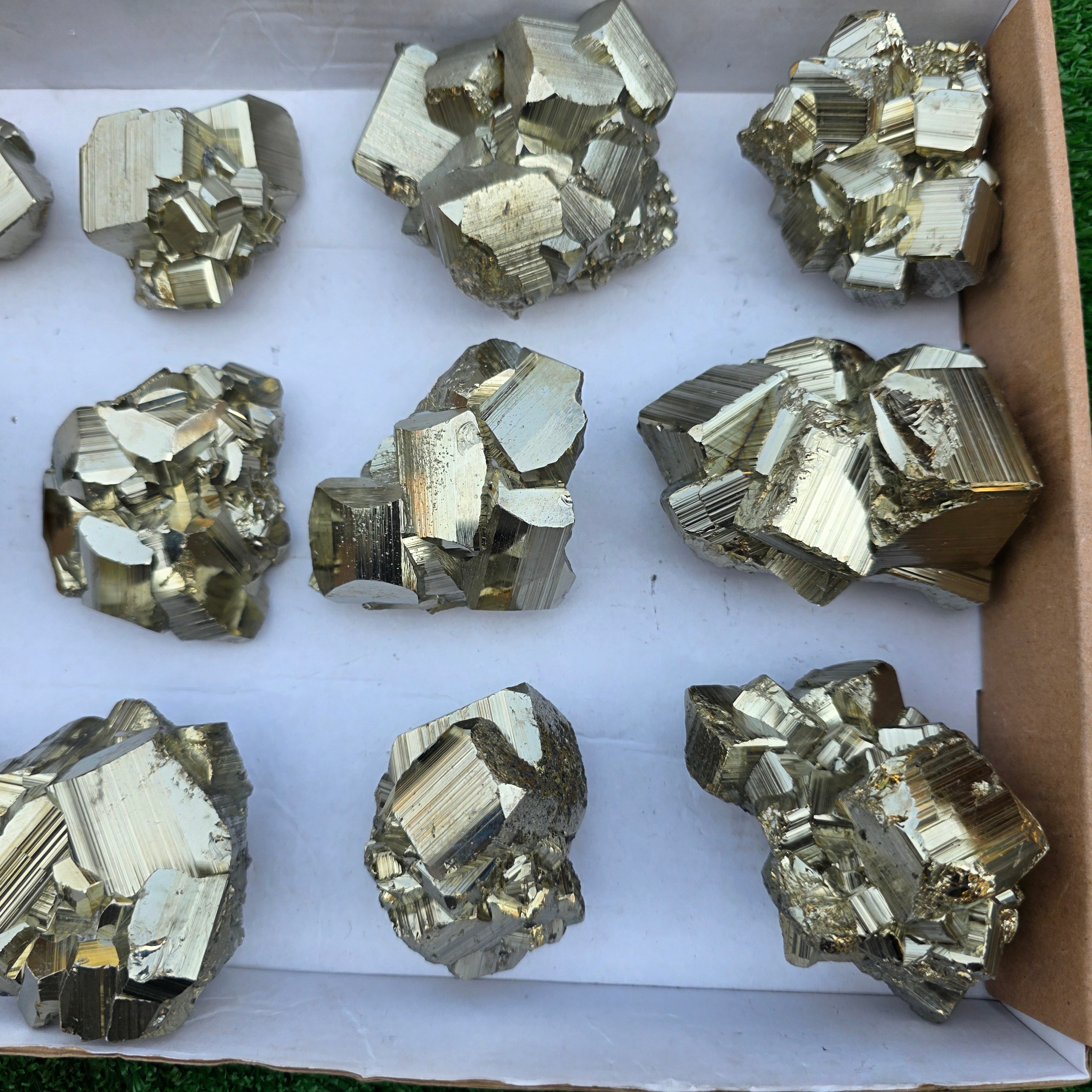 Lot 12 pcs Pyrite Coco Rough