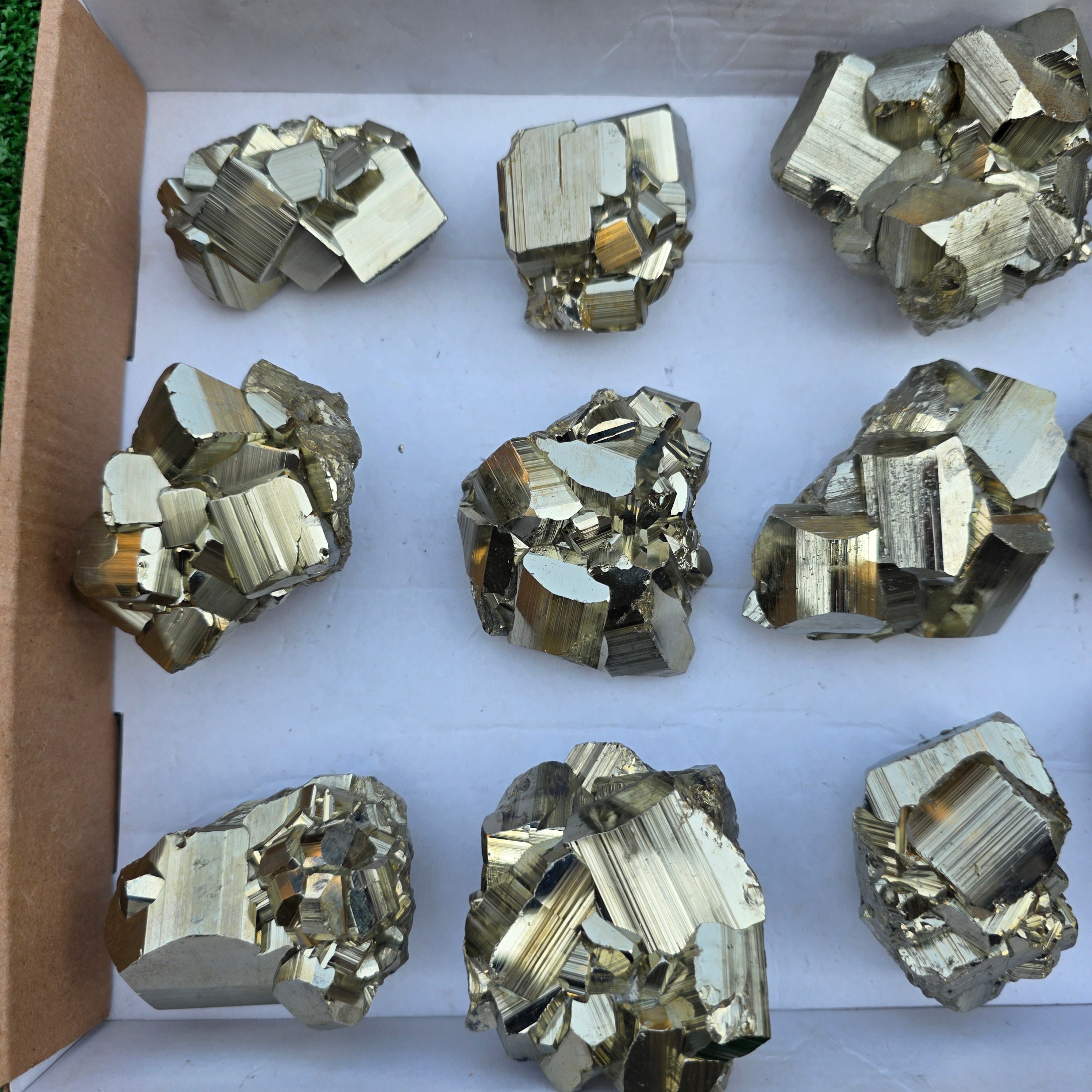 Lot 12 pcs Pyrite Coco Rough