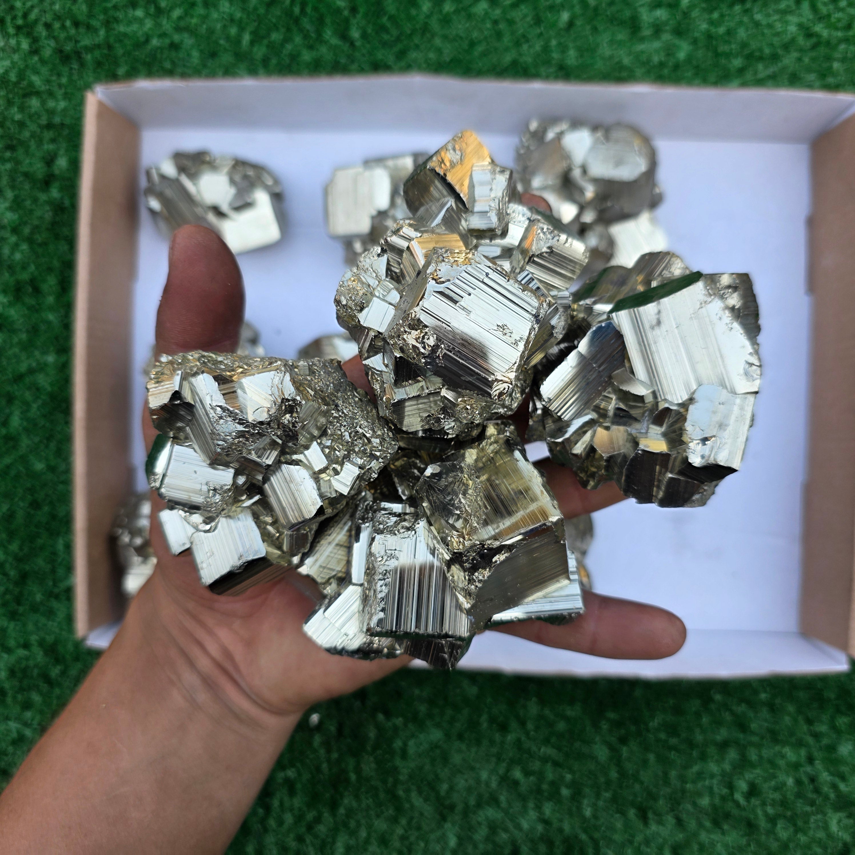 Lot 12 pcs Pyrite Coco Rough