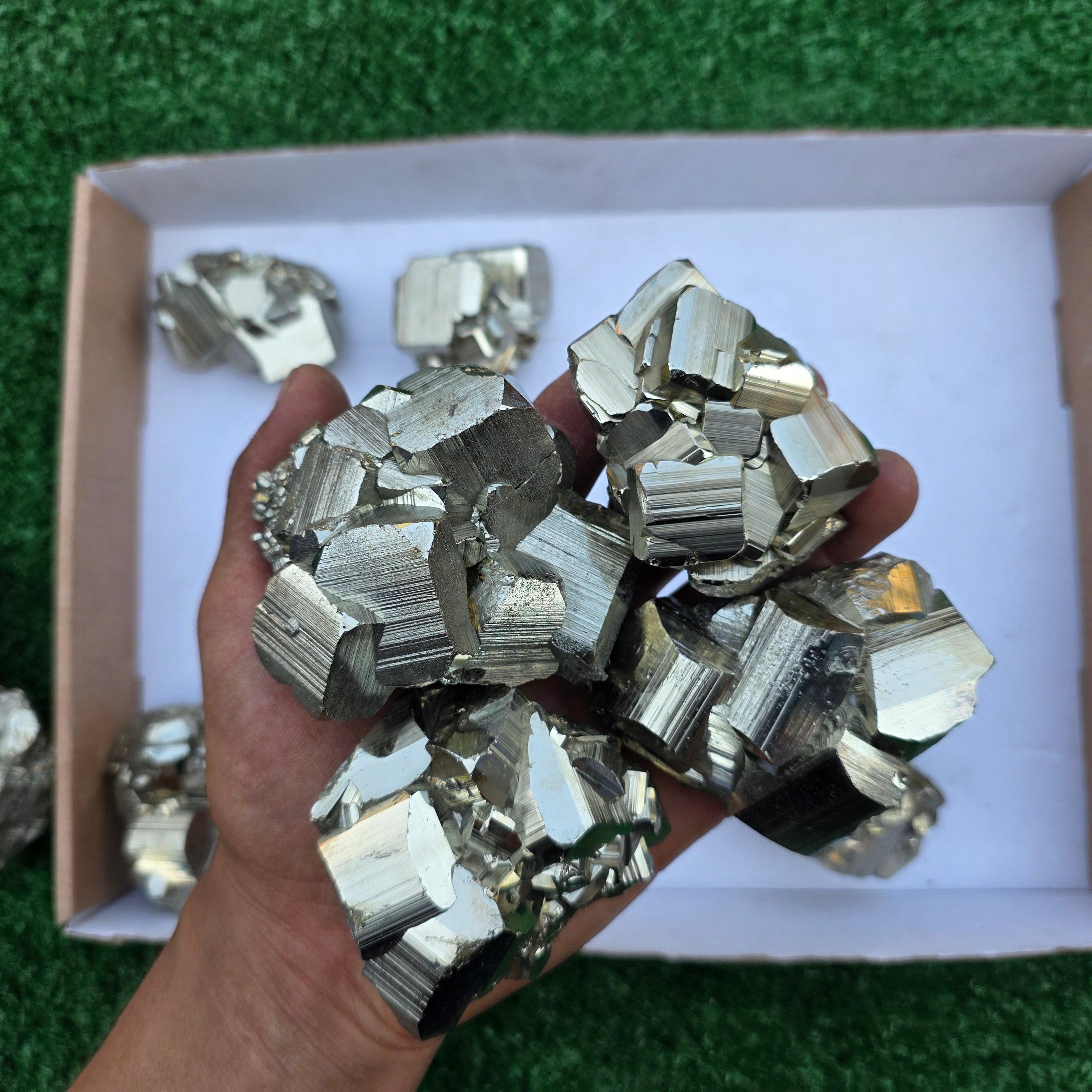 Lot 12 pcs Pyrite Coco Rough