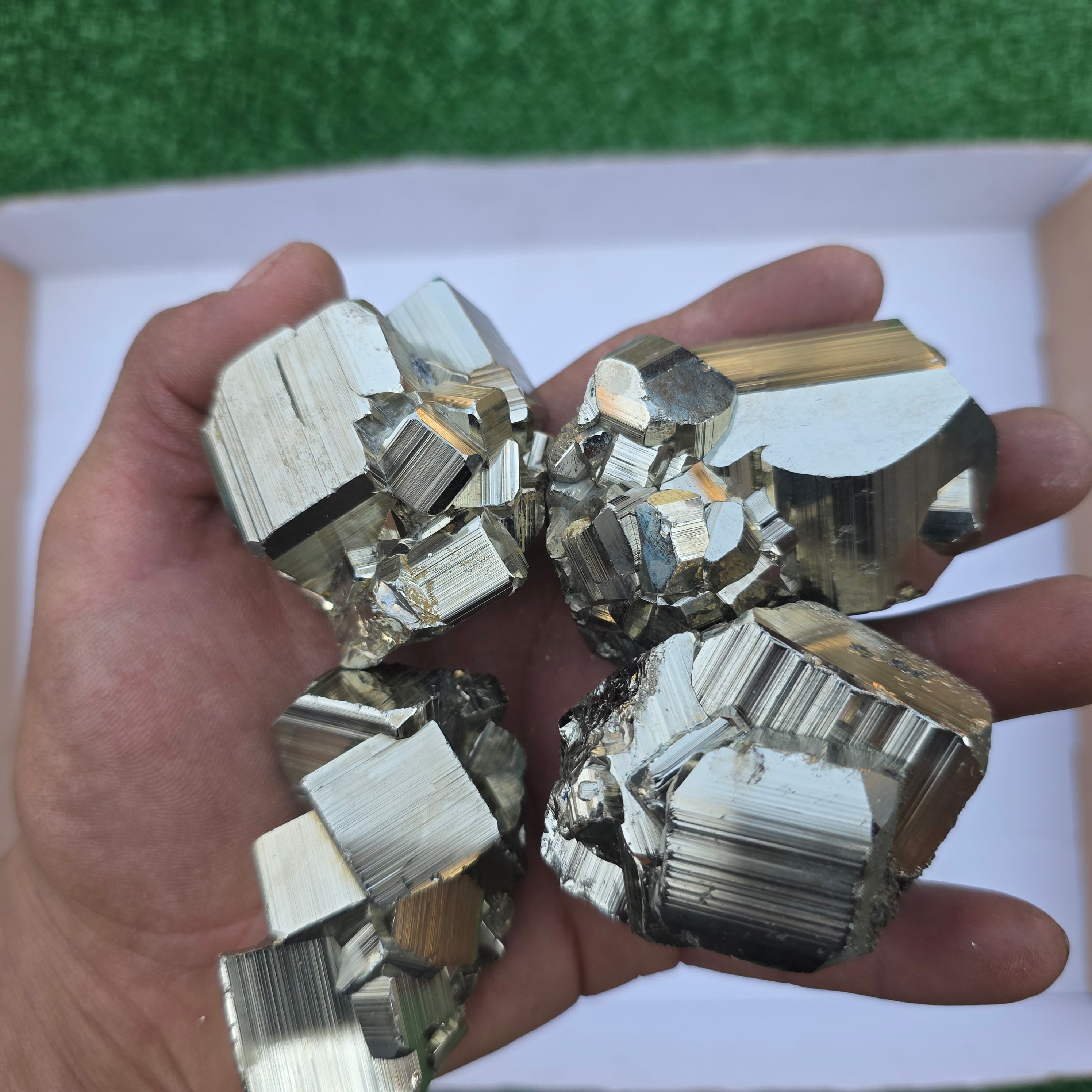 Lot 12 pcs Pyrite Coco Rough