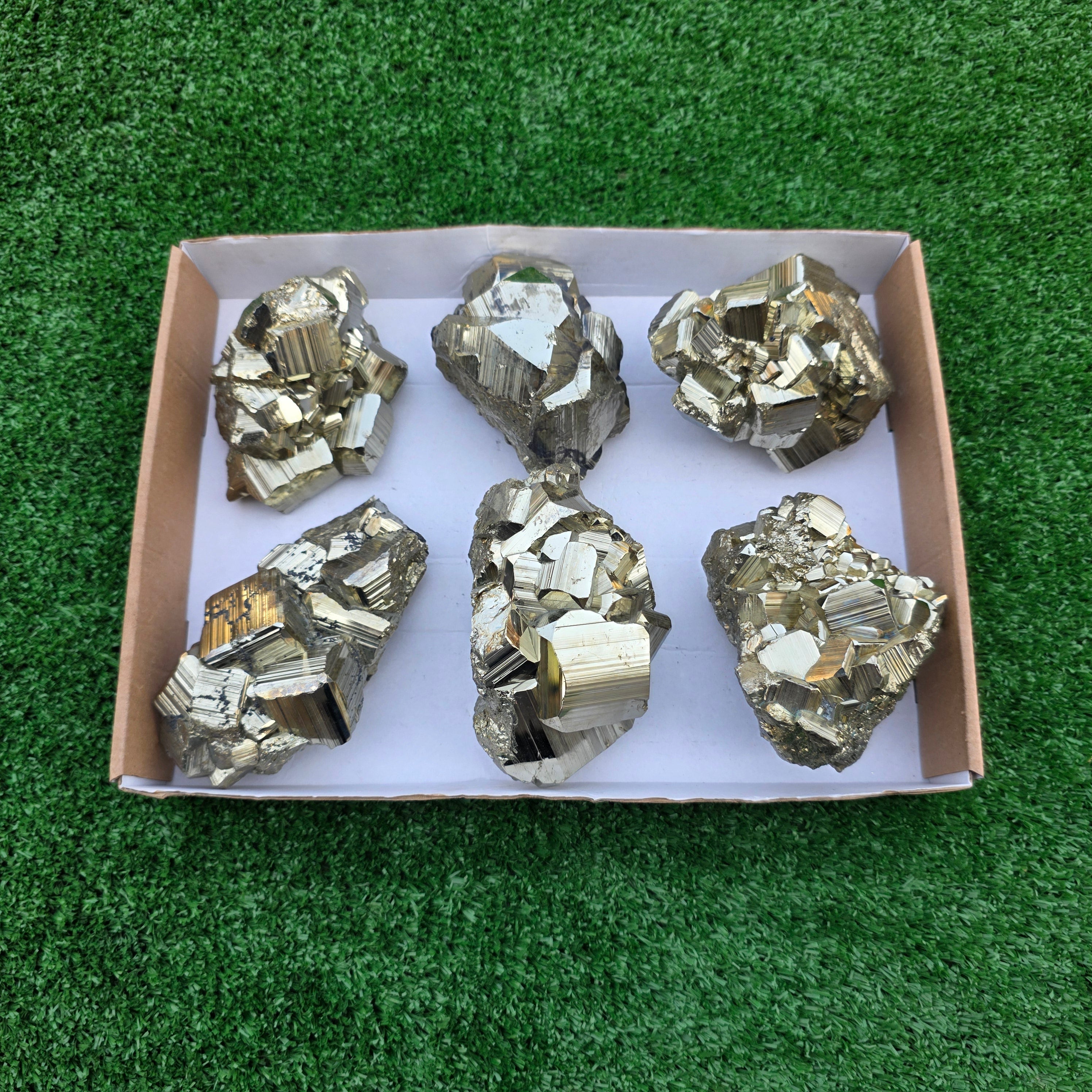 Lot 6 pcs Pyrite Coco Rough