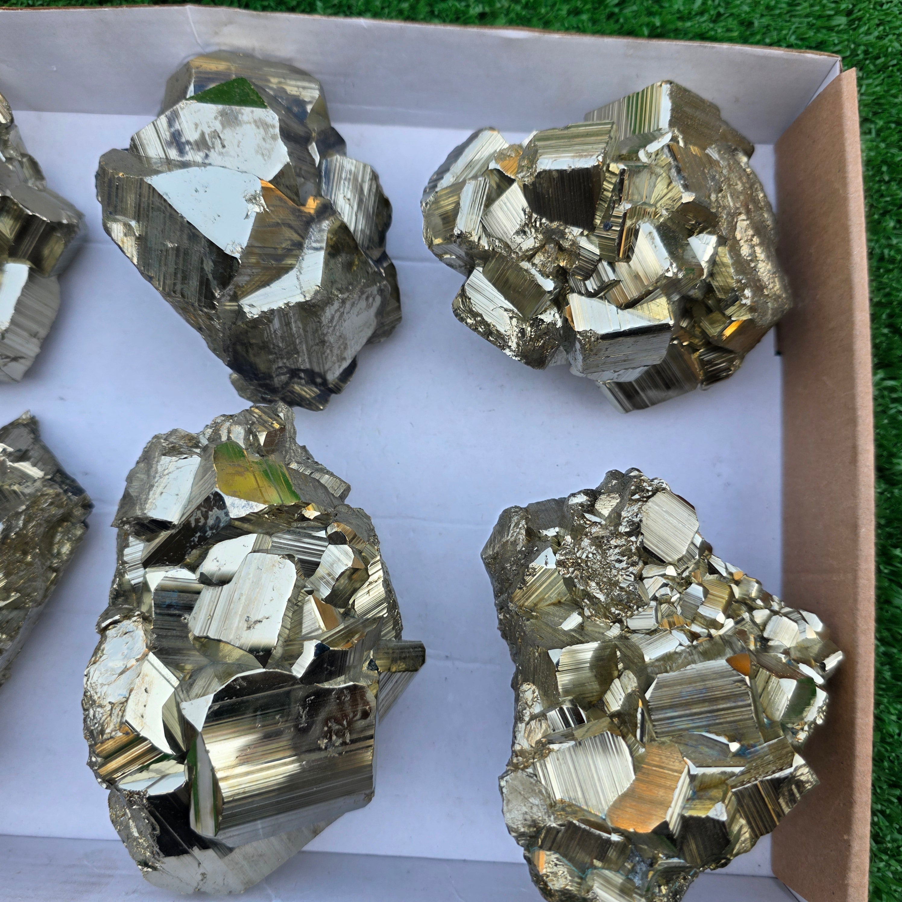 Lot 6 pcs Pyrite Coco Rough