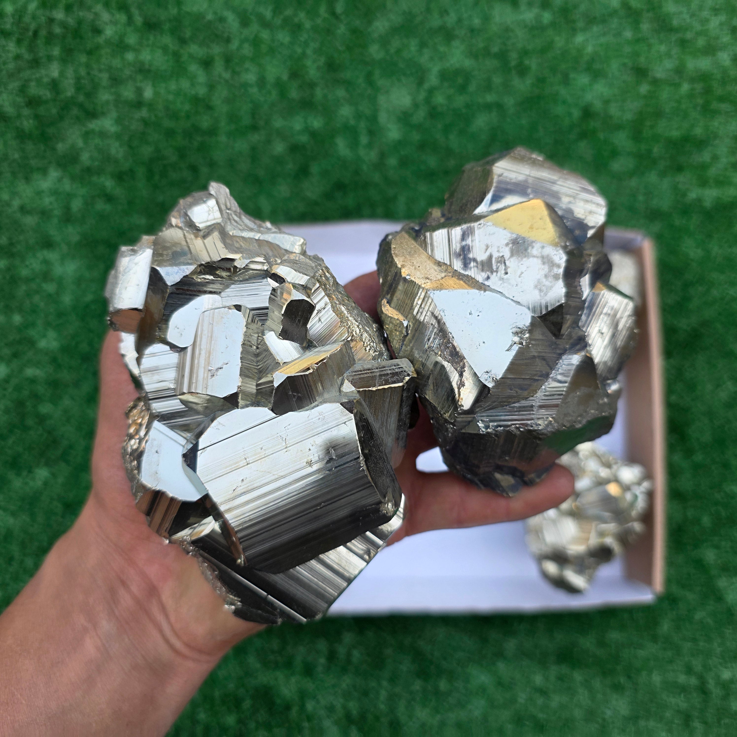 Lot 6 pcs Pyrite Coco Rough