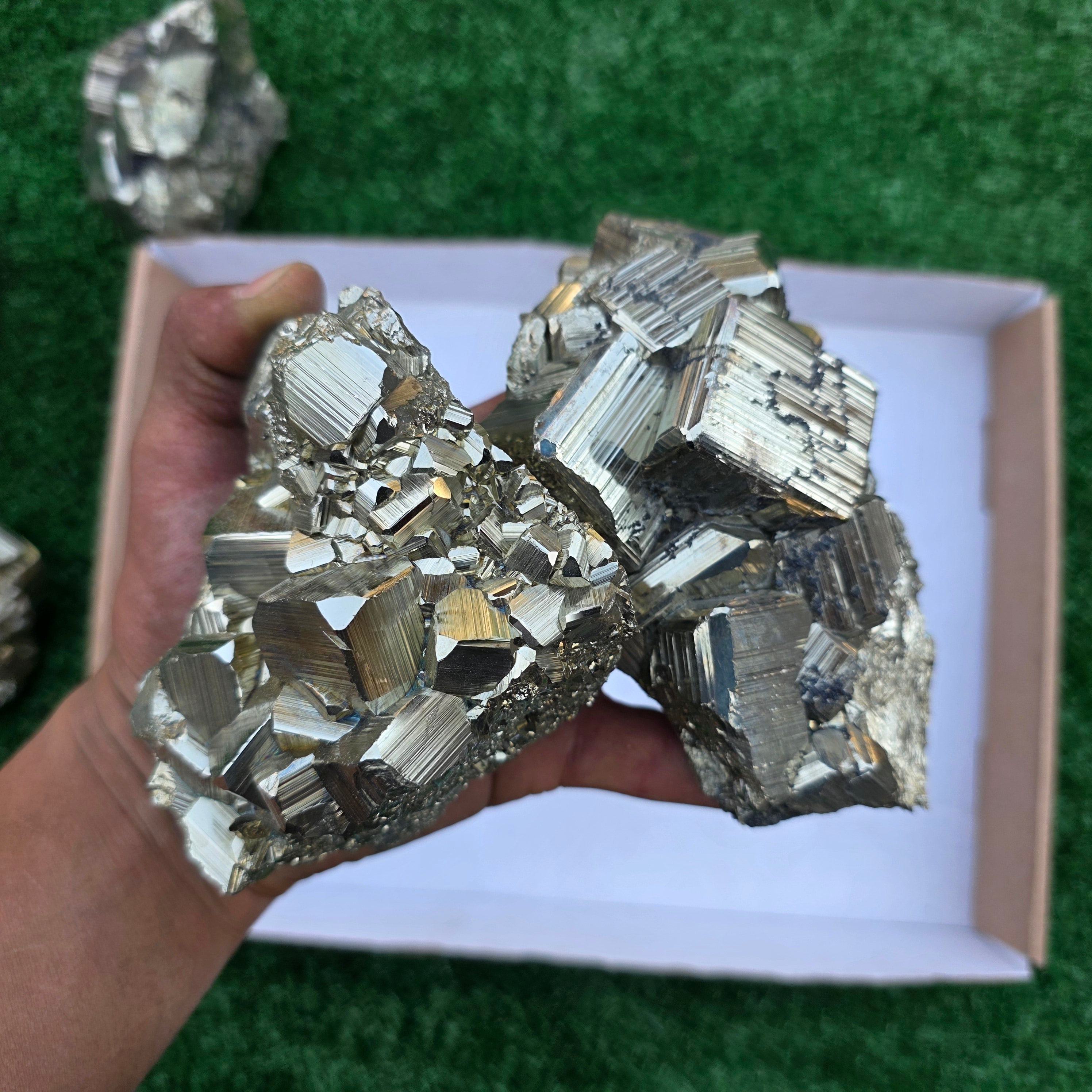 Lot 6 pcs Pyrite Coco Rough