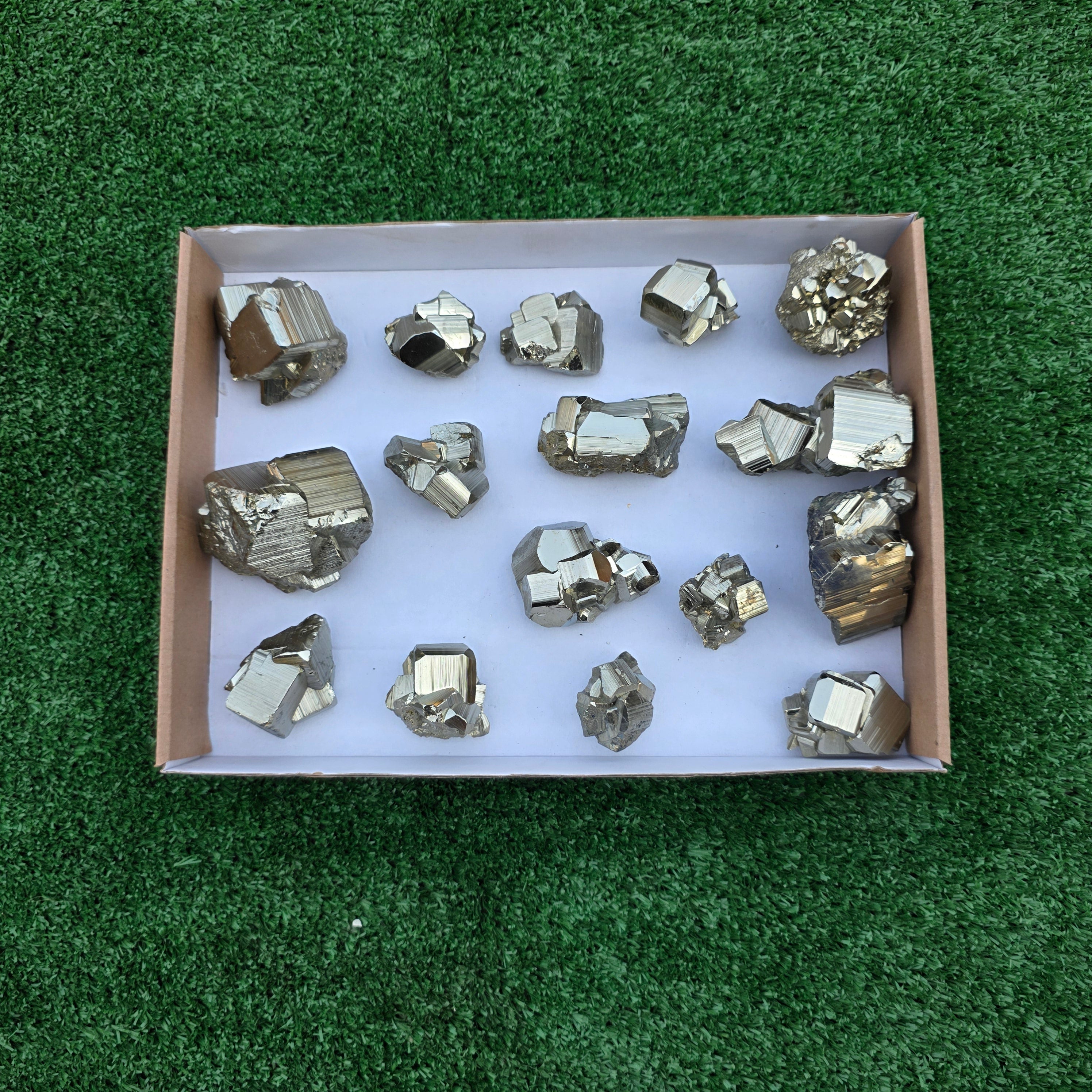 Lot 16 pcs Pyrite Coco Rough