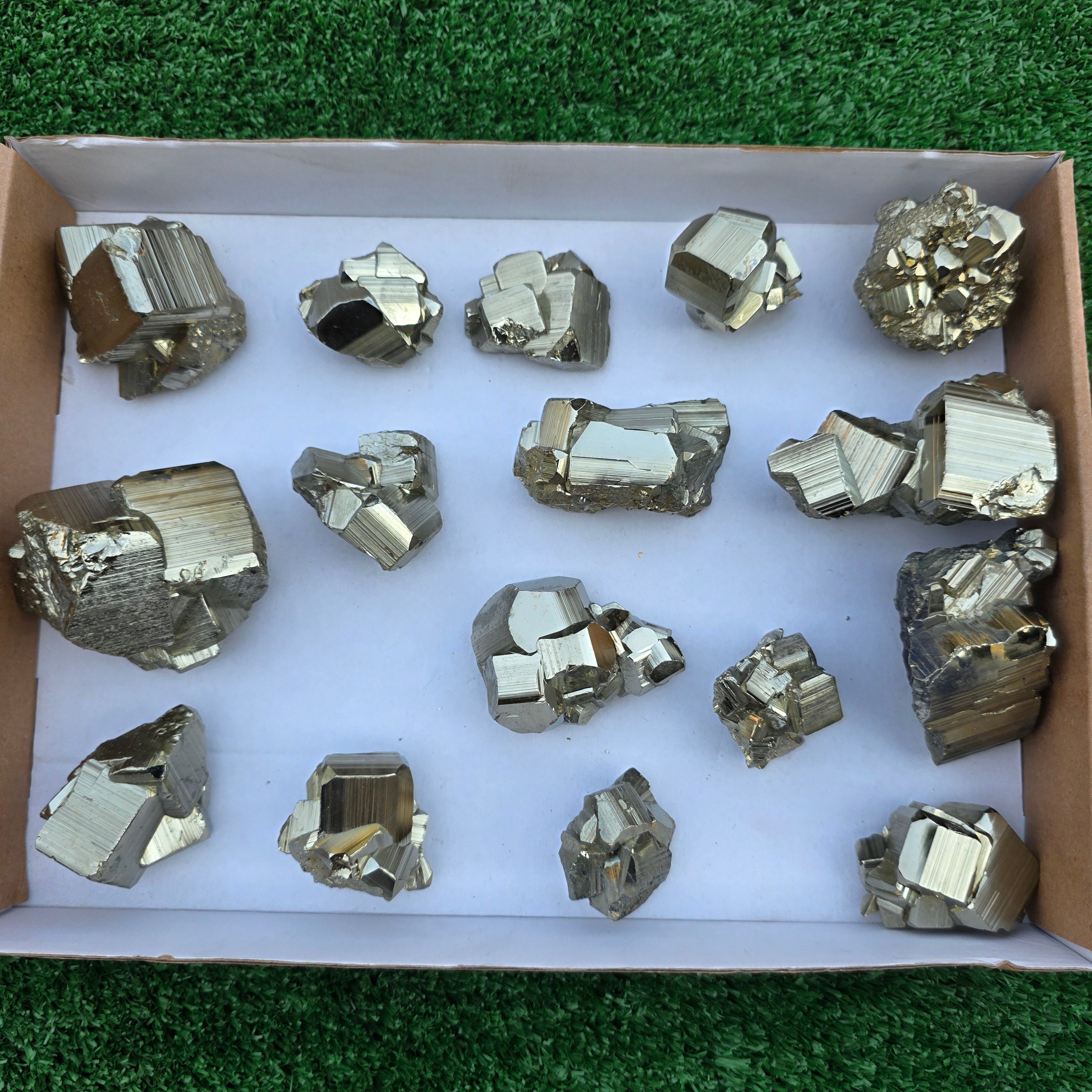 Lot 16 pcs Pyrite Coco Rough