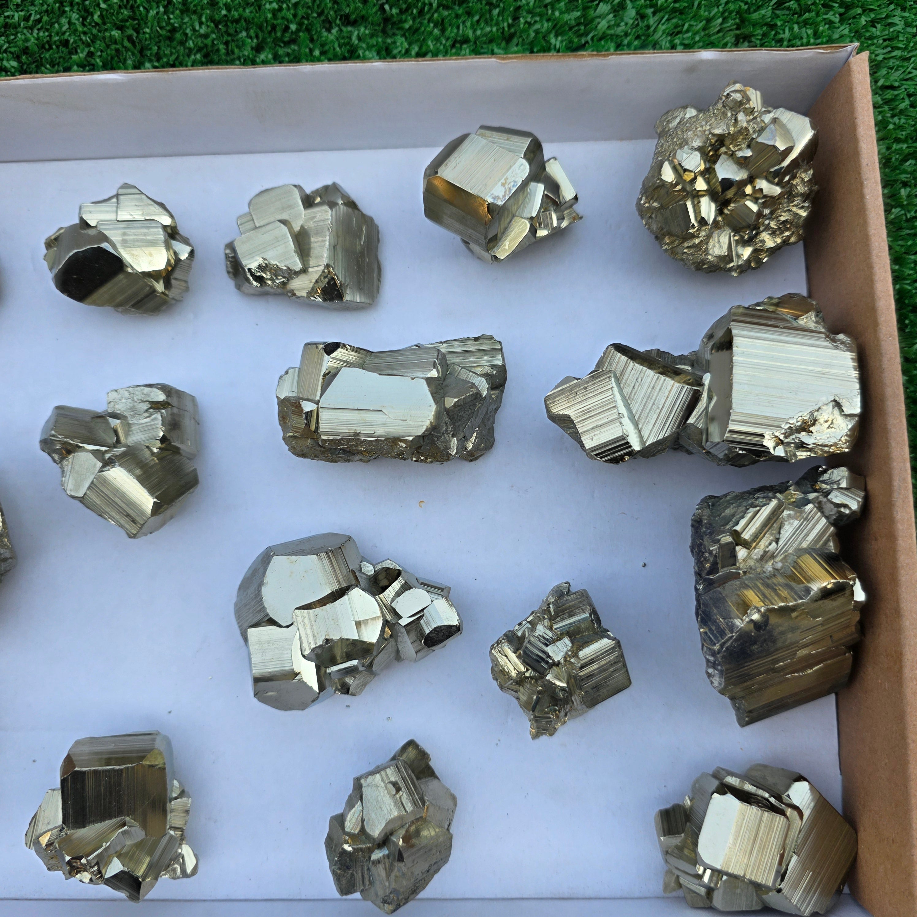 Lot 16 pcs Pyrite Coco Rough