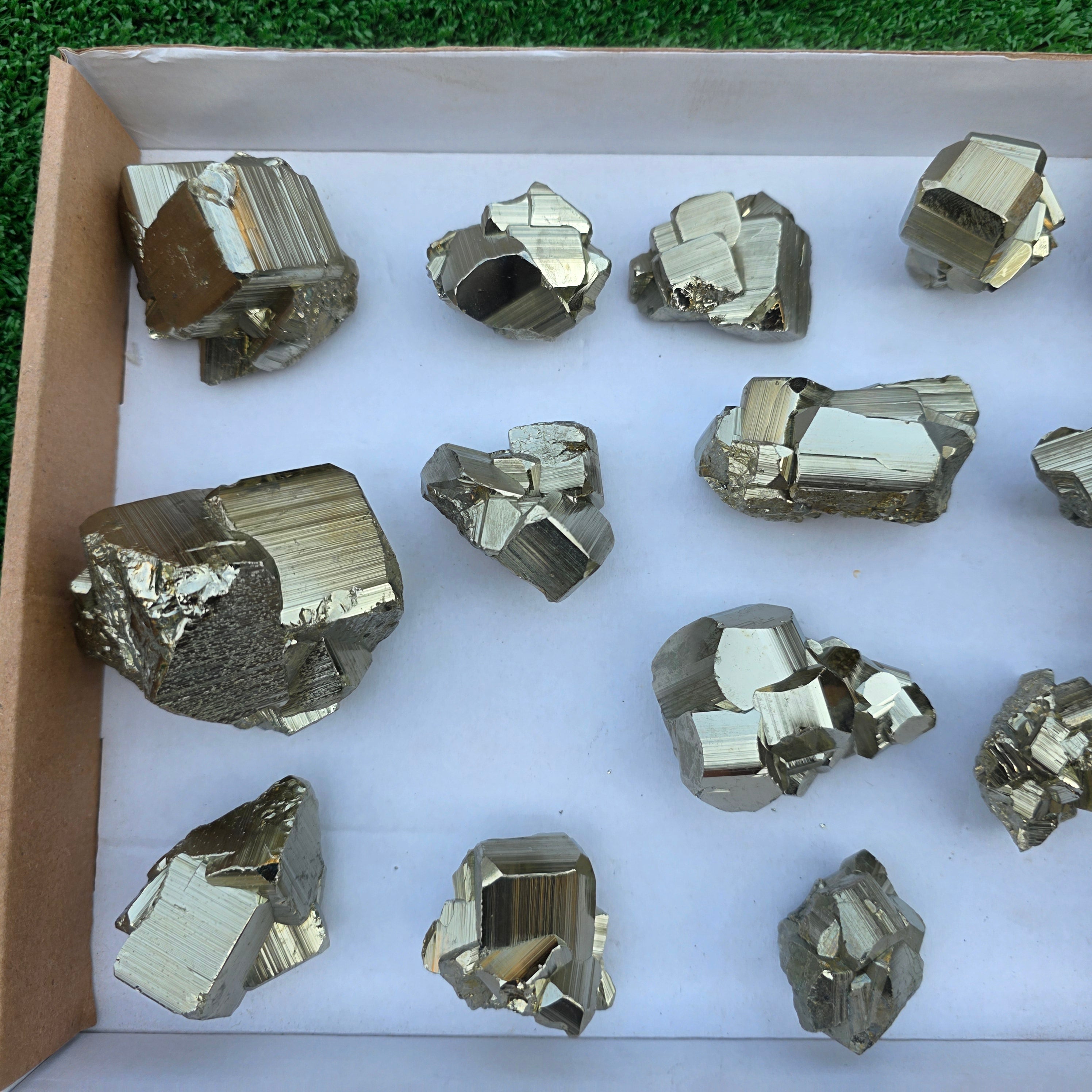 Lot 16 pcs Pyrite Coco Rough