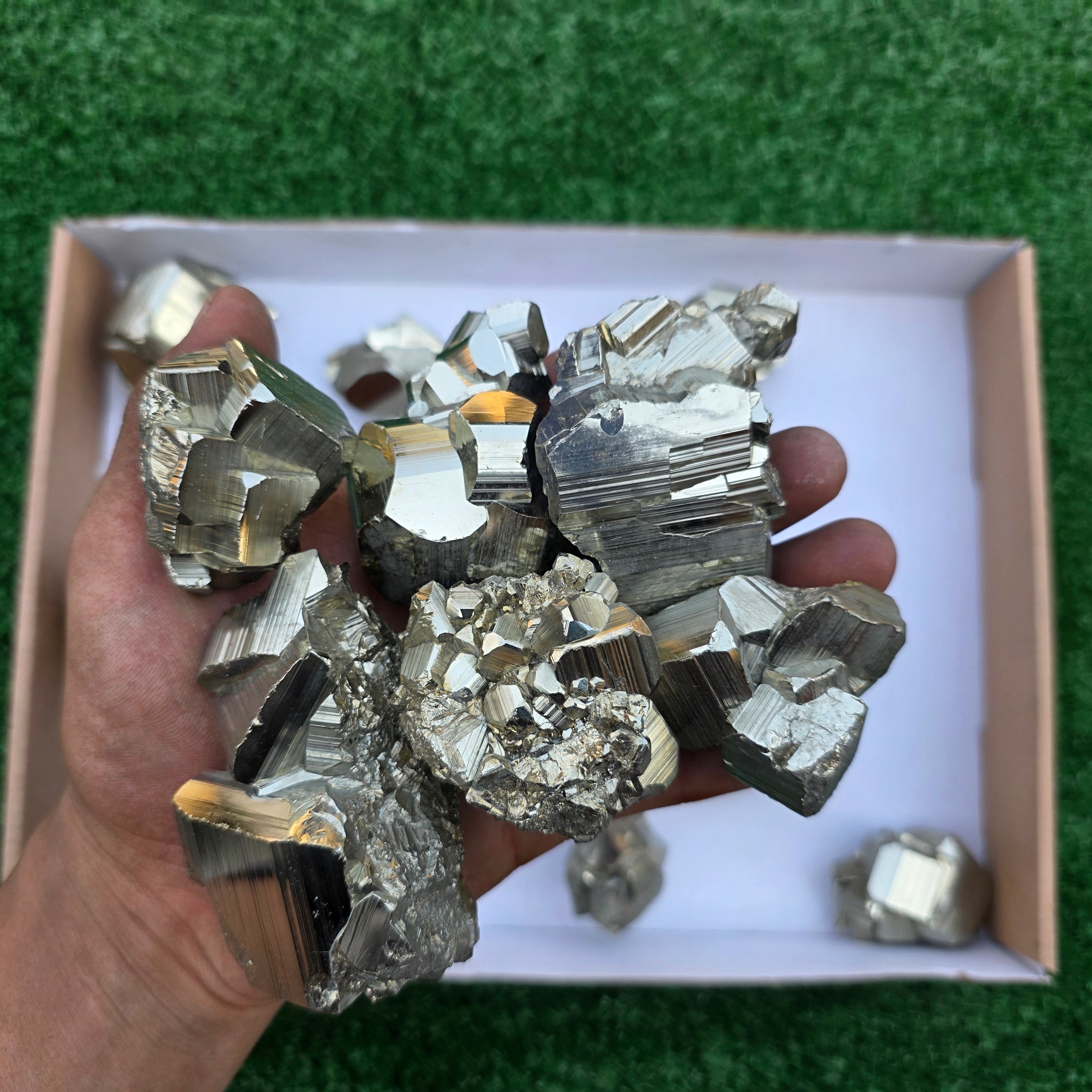 Lot 16 pcs Pyrite Coco Rough