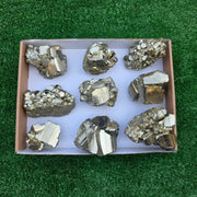 Lot 9 pcs Pyrite Coco Rough