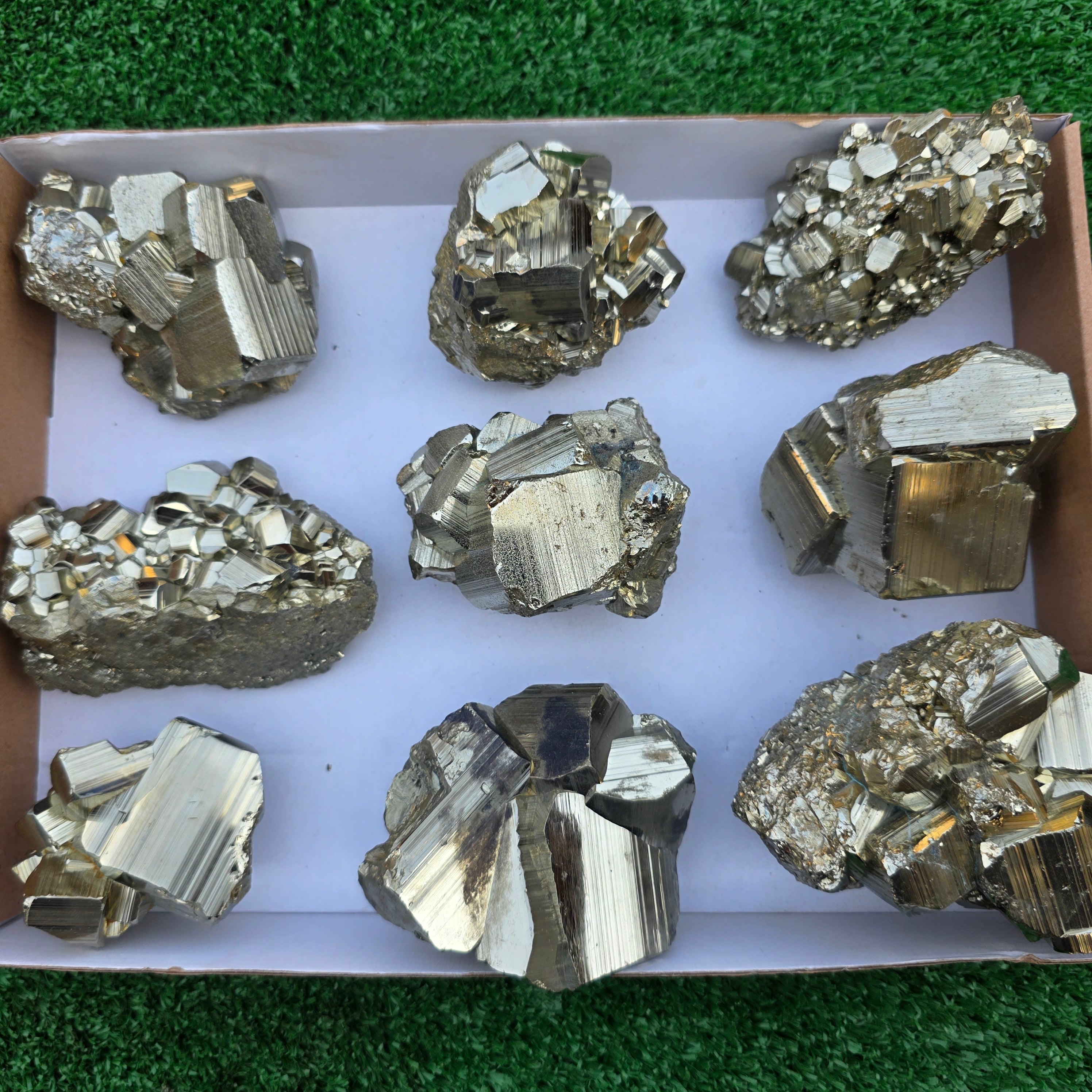 Lot 9 pcs Pyrite Coco Rough