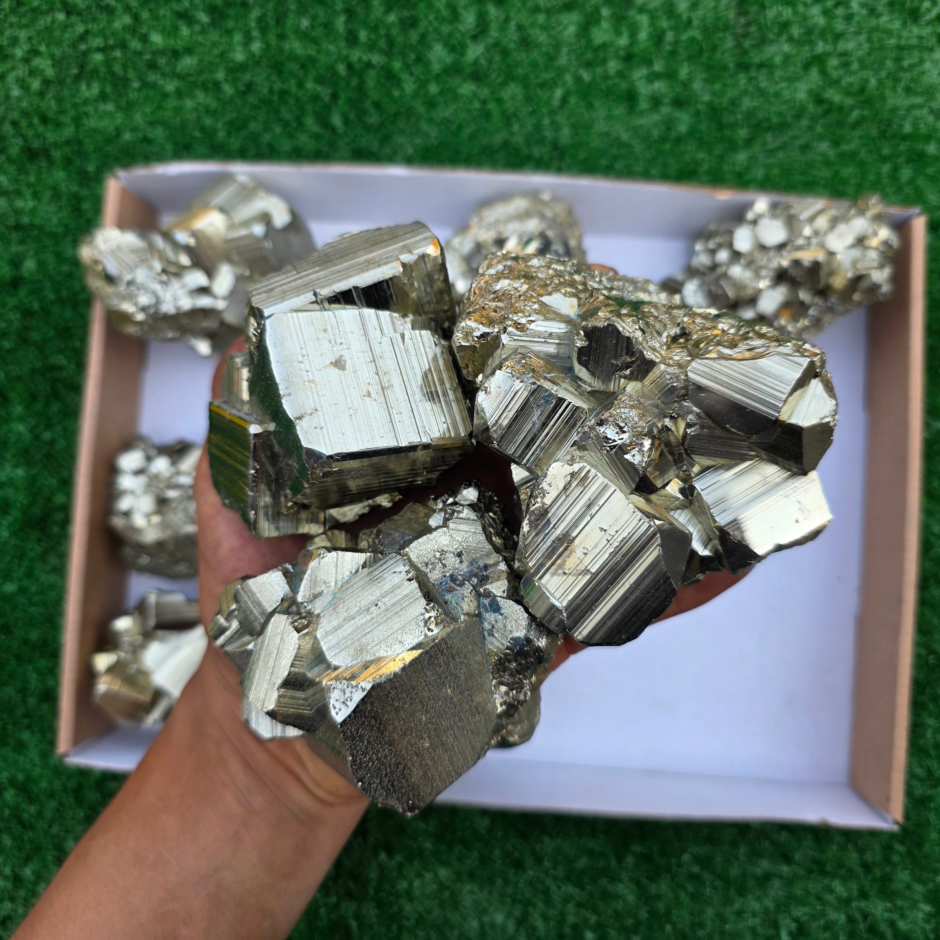 Lot 9 pcs Pyrite Coco Rough