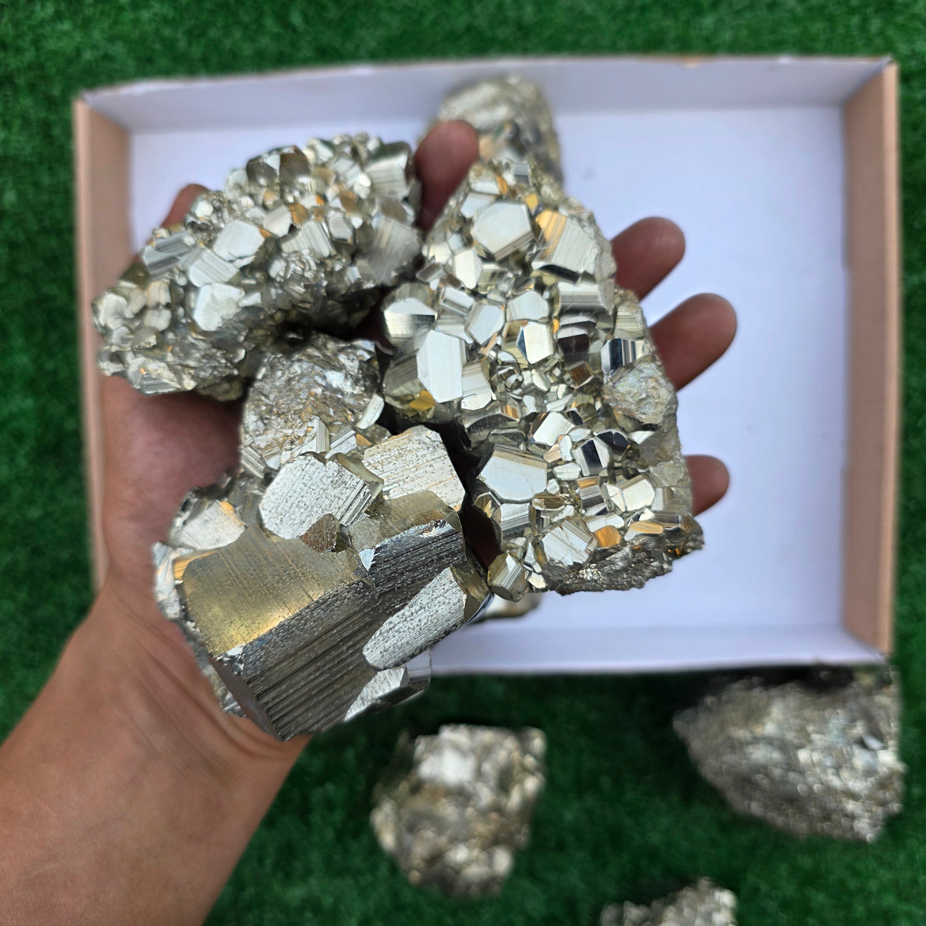 Lot 9 pcs Pyrite Coco Rough