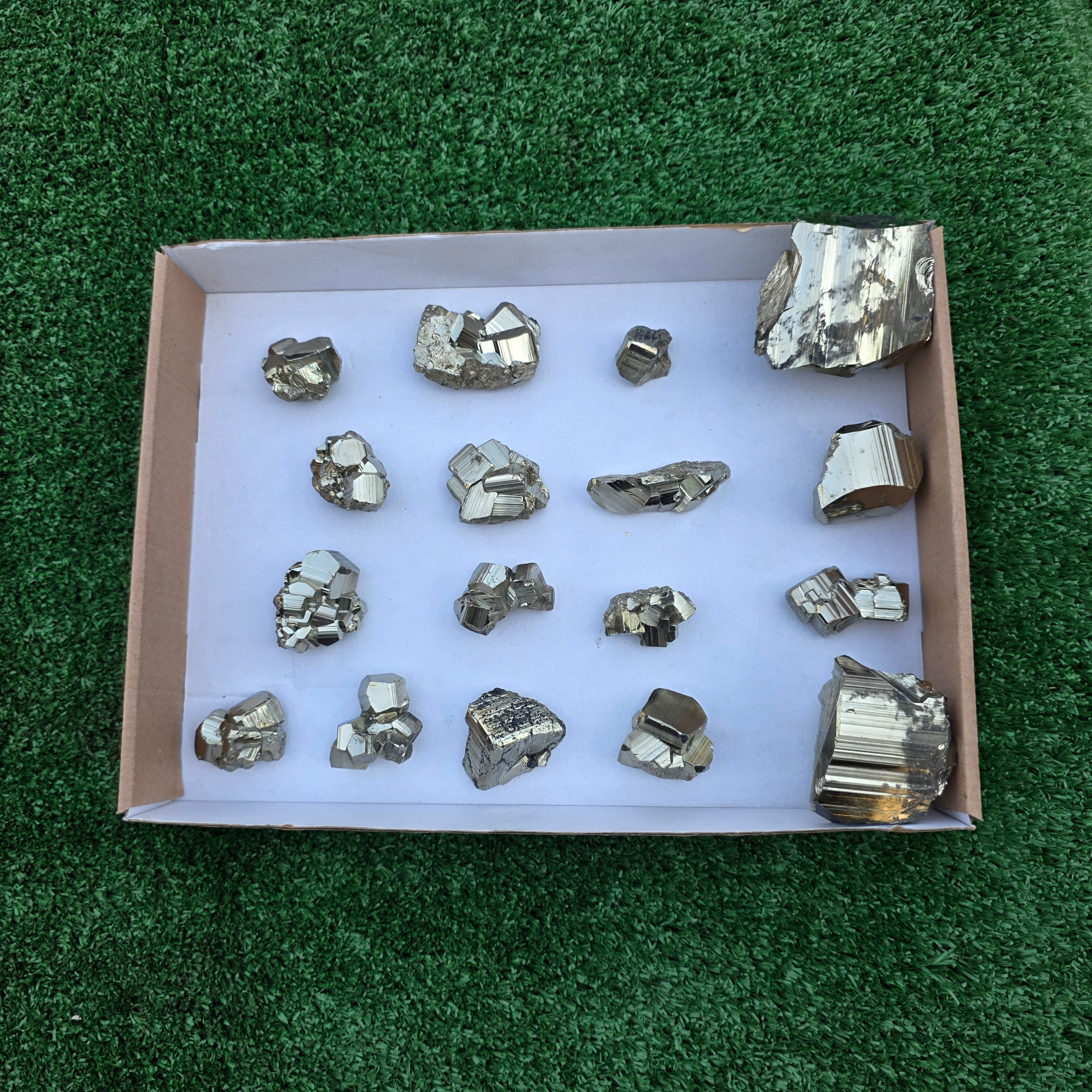 Lot 17 pcs Pyrite Coco Rough
