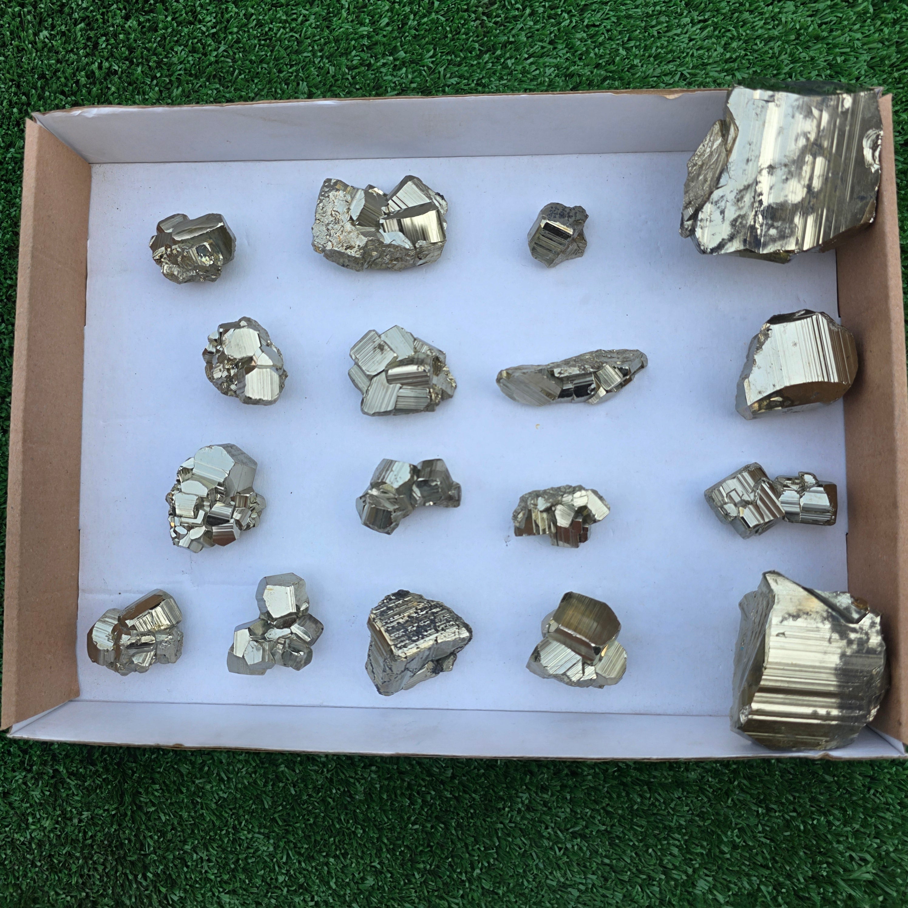 Lot 17 pcs Pyrite Coco Rough