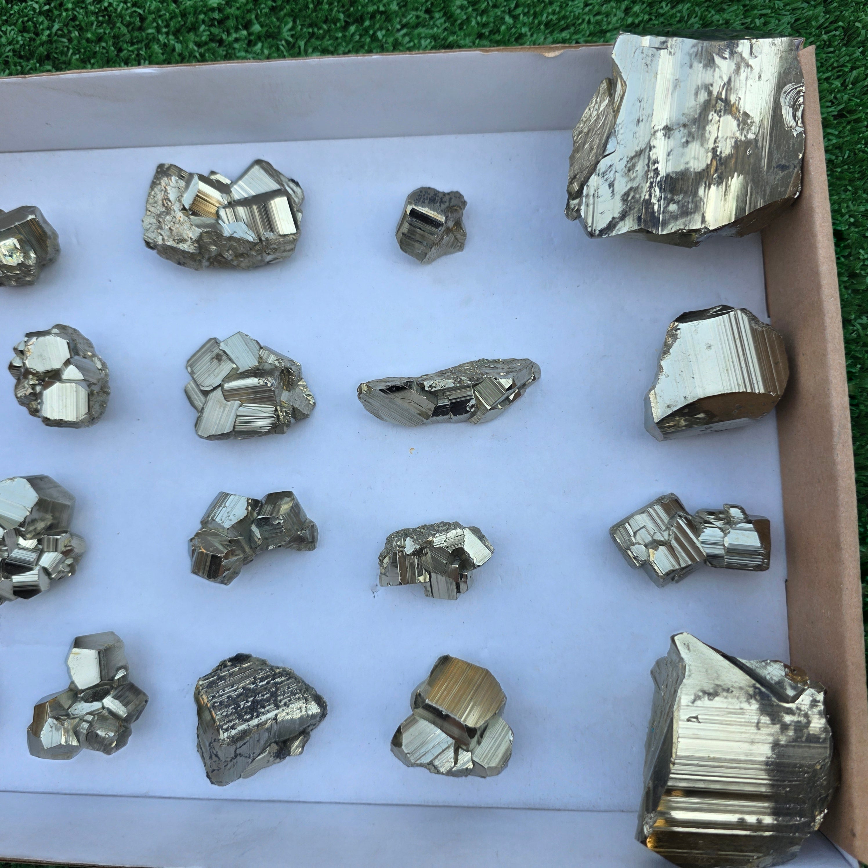 Lot 17 pcs Pyrite Coco Rough