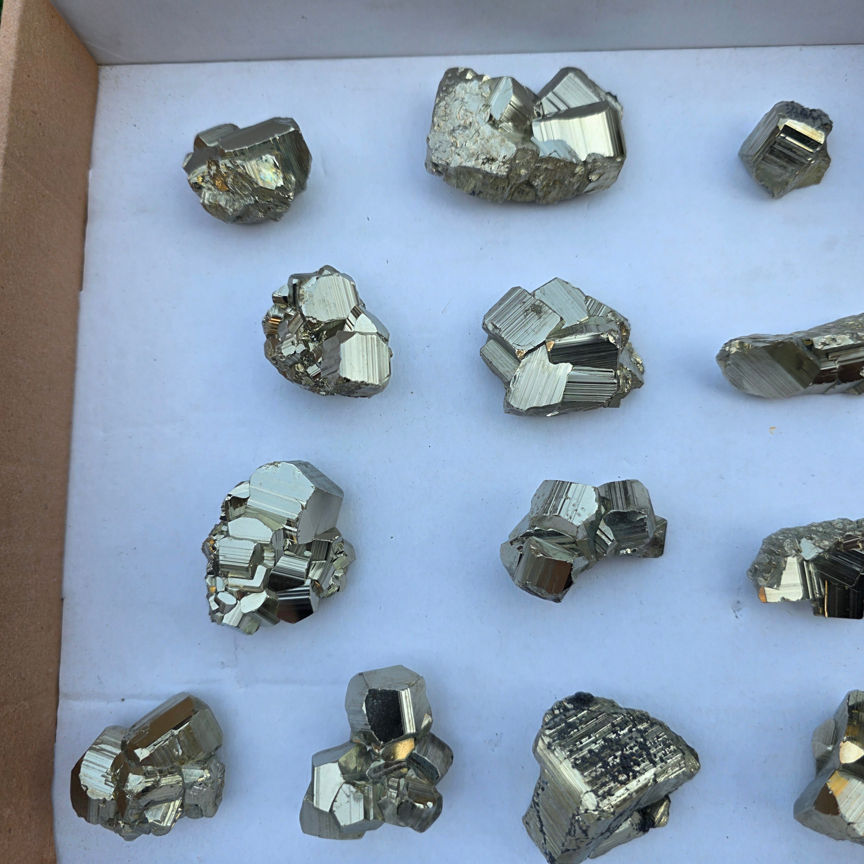 Lot 17 pcs Pyrite Coco Rough