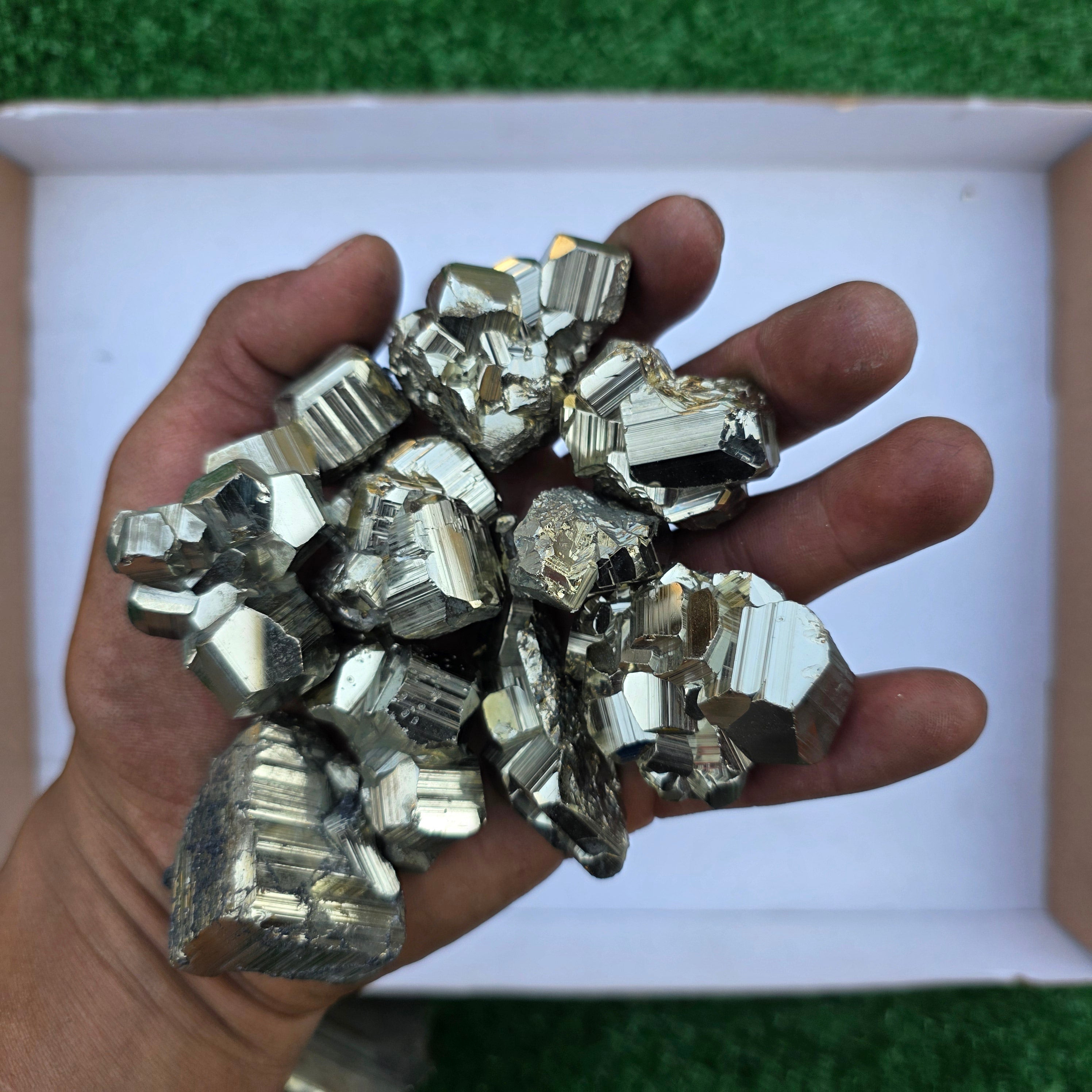 Lot 17 pcs Pyrite Coco Rough