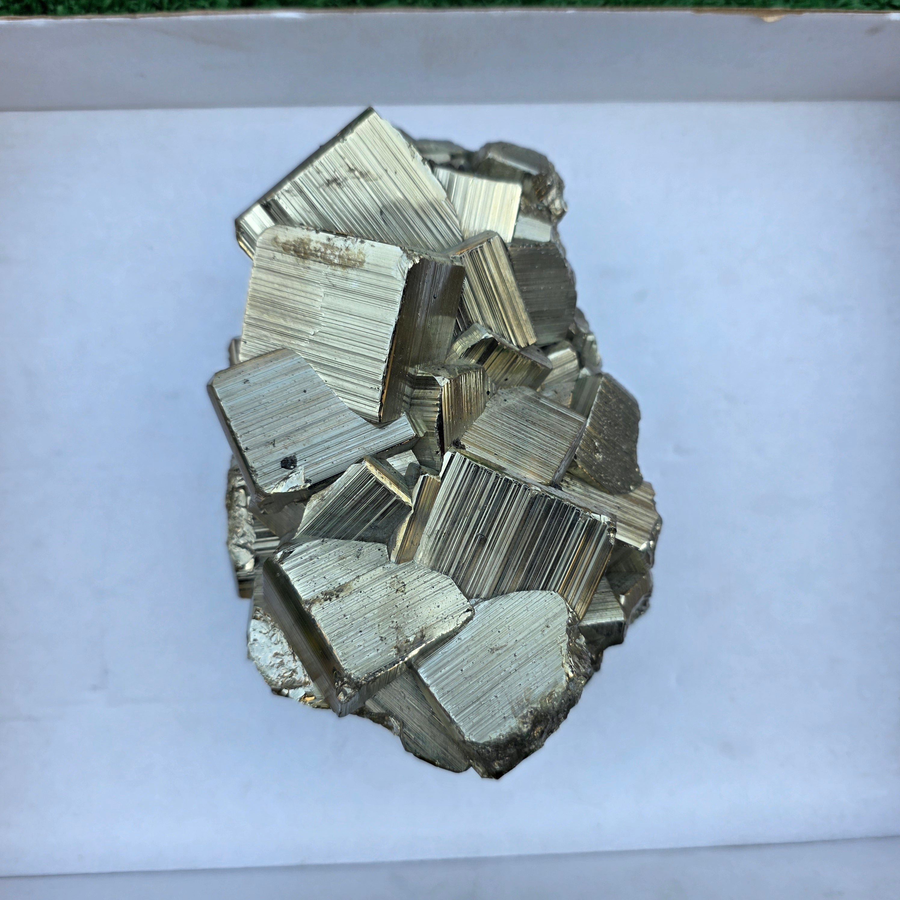 1 pc Pyrite Coco Rough