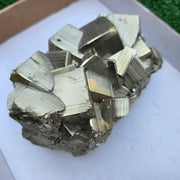 1 pc Pyrite Coco Rough