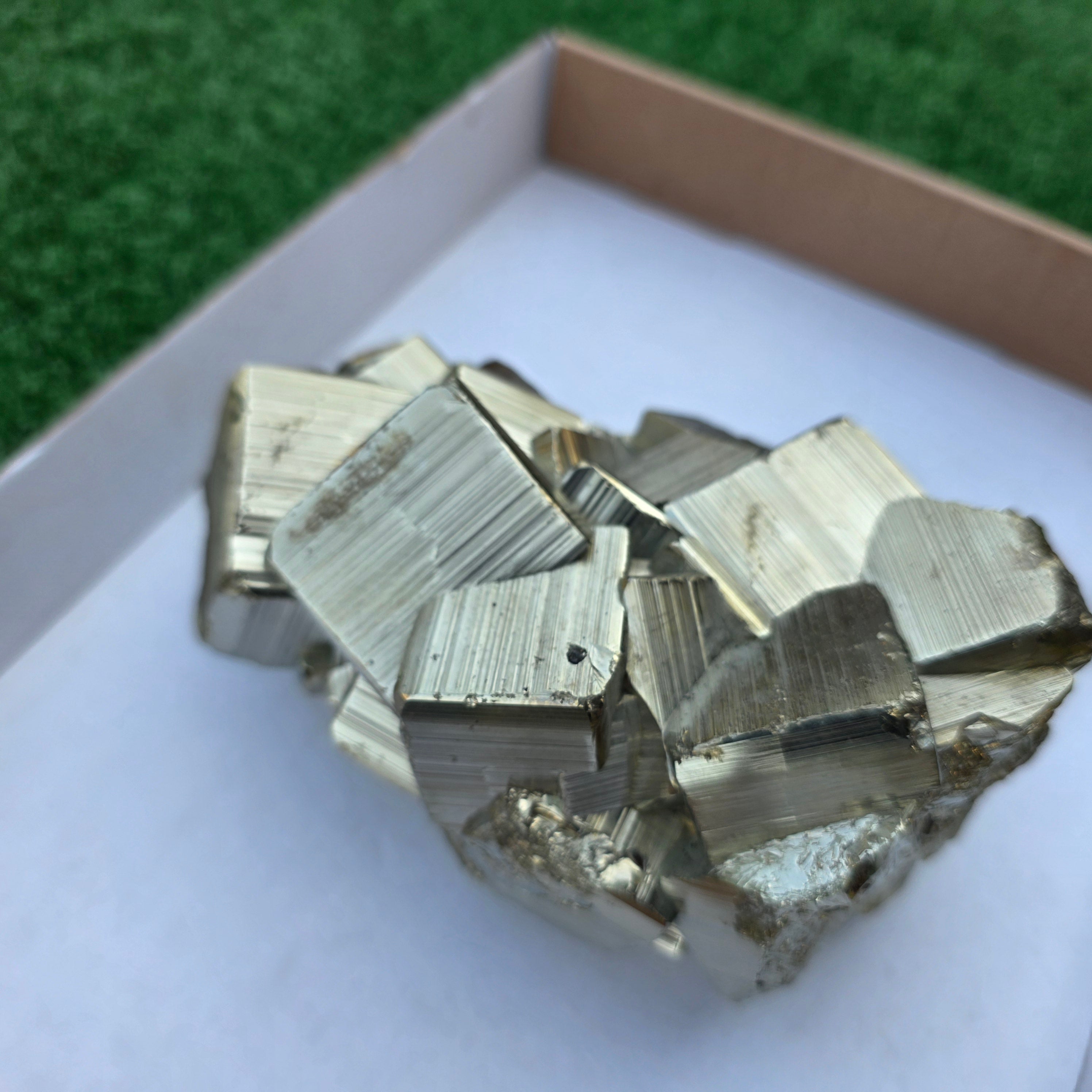1 pc Pyrite Coco Rough
