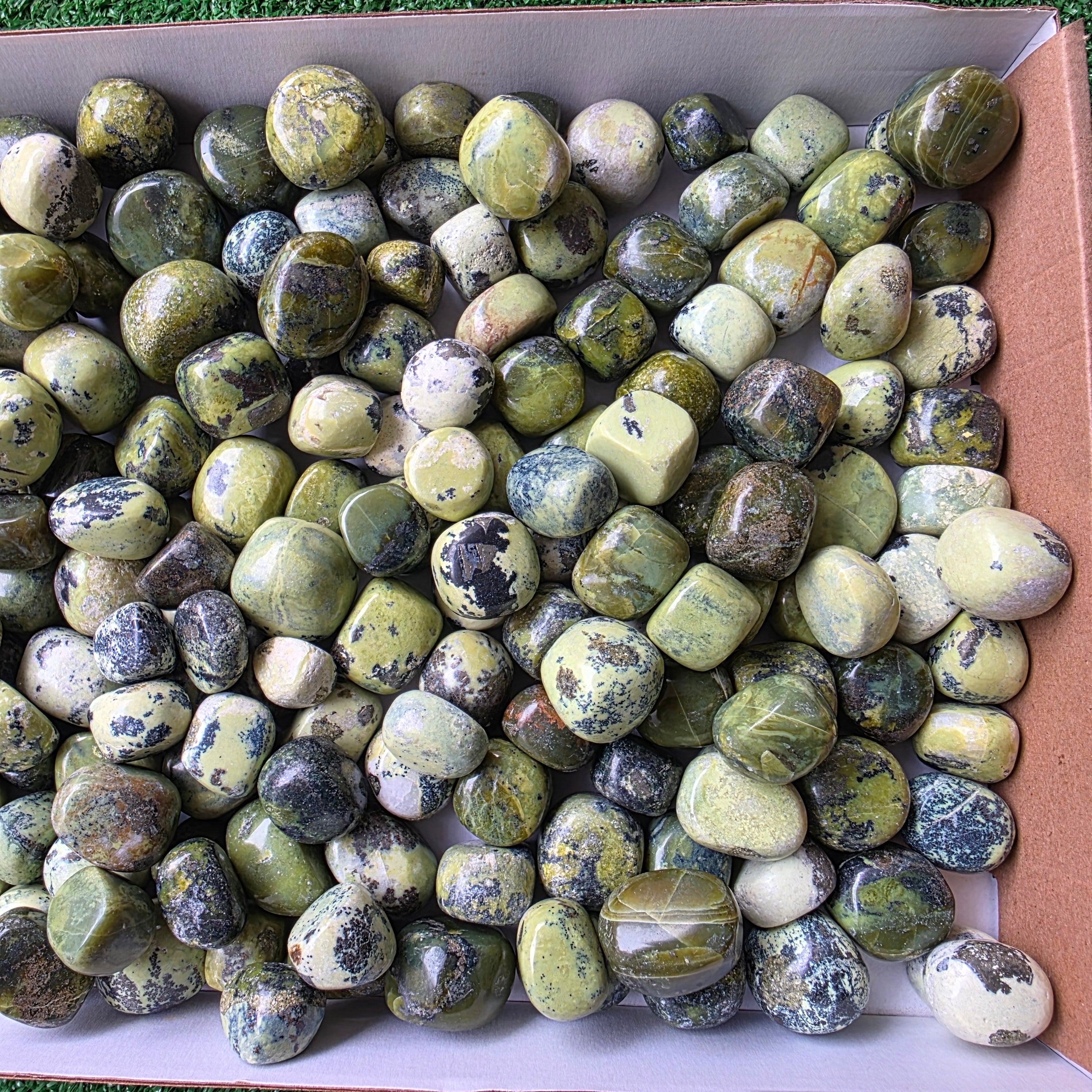 Lot 3 kg Serpentine tumbled