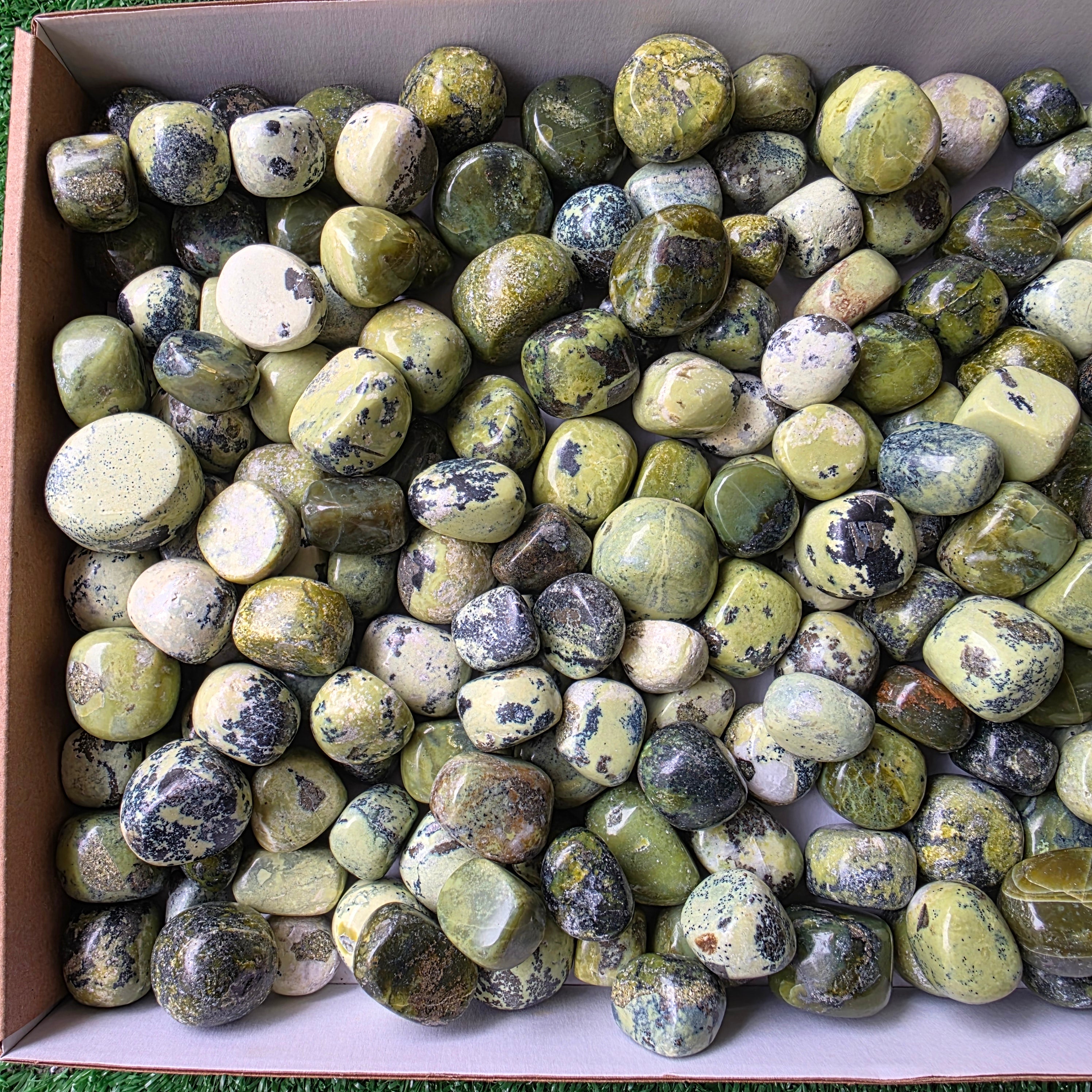 Lot 3 kg Serpentine tumbled