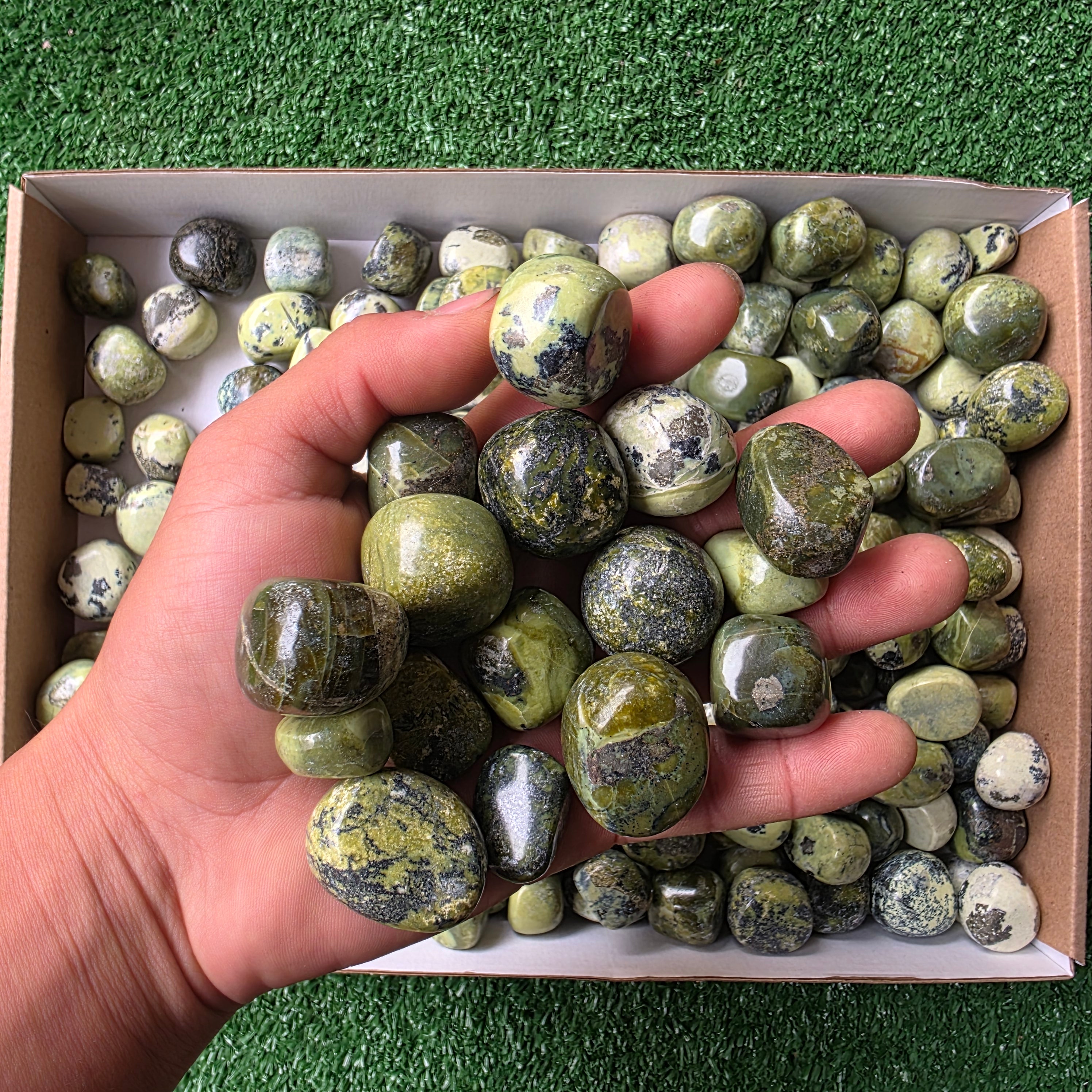 Lot 3 kg Serpentine tumbled