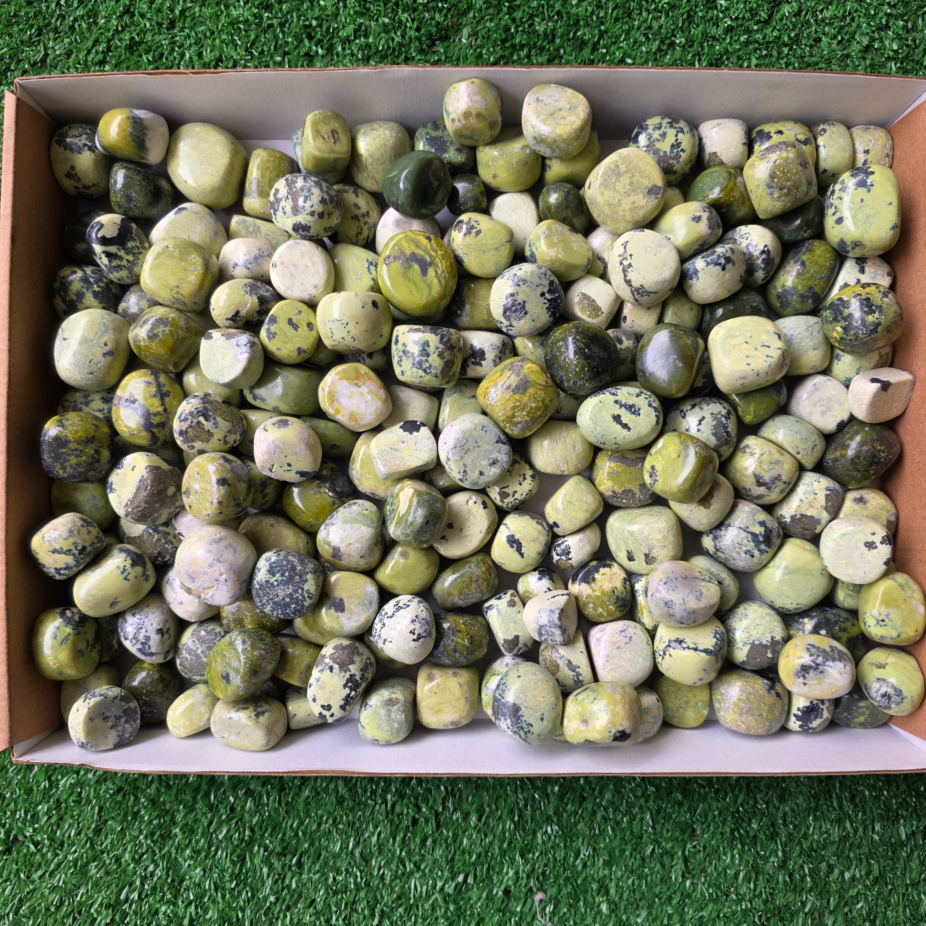 Lot 3 kg Serpentine tumbled