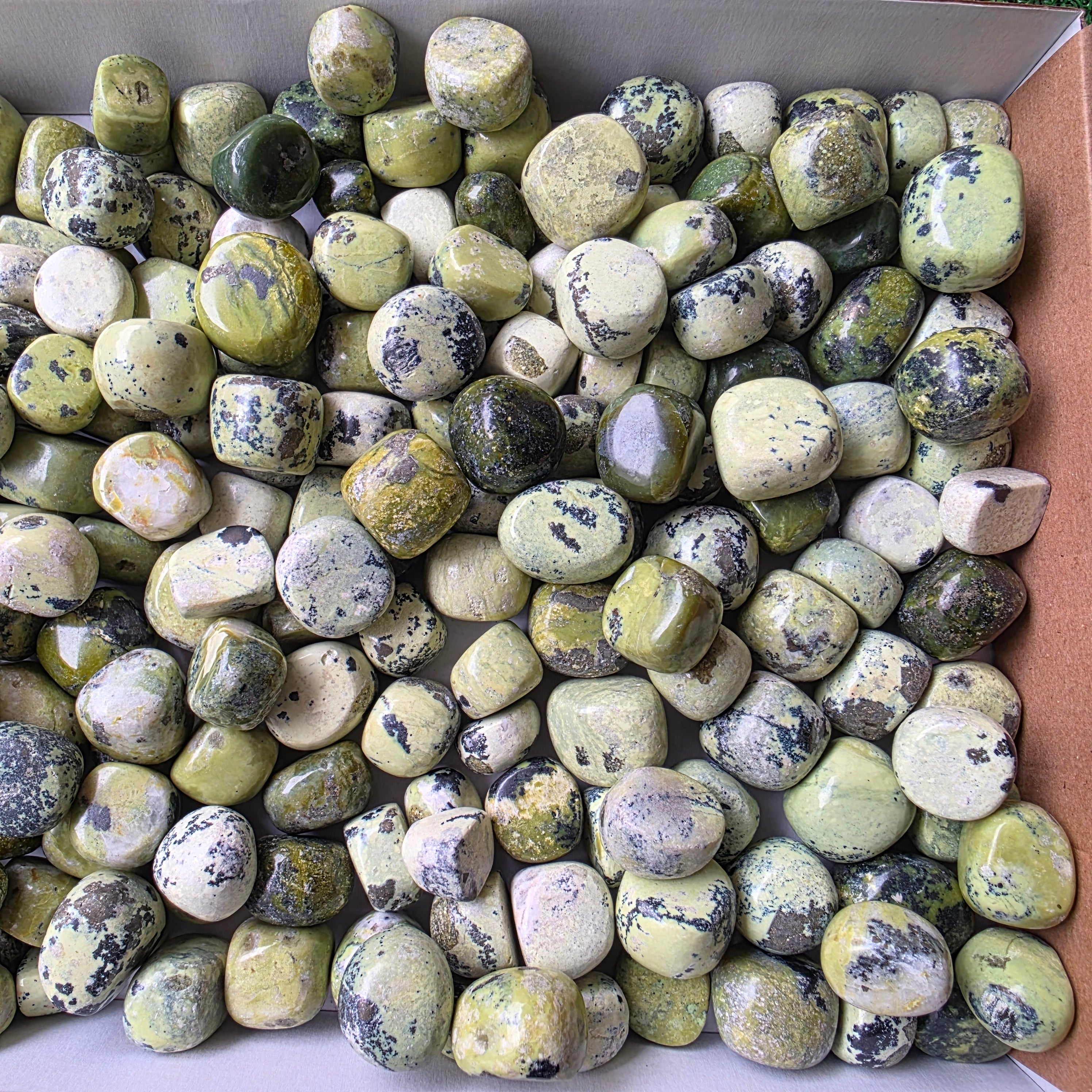 Lot 3 kg Serpentine tumbled